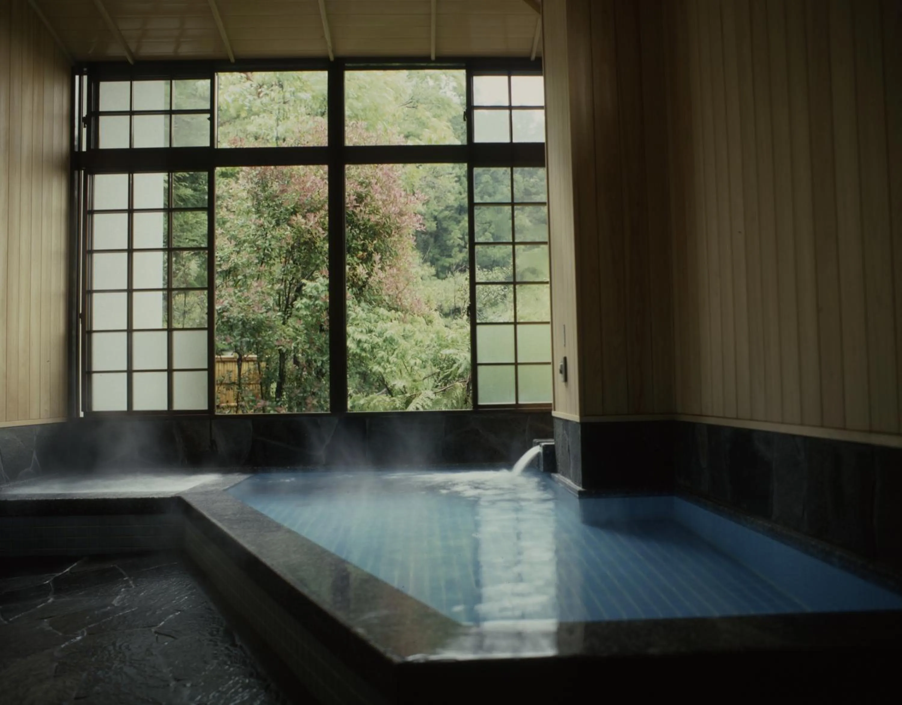 Hot Spring Bath in Sansuien