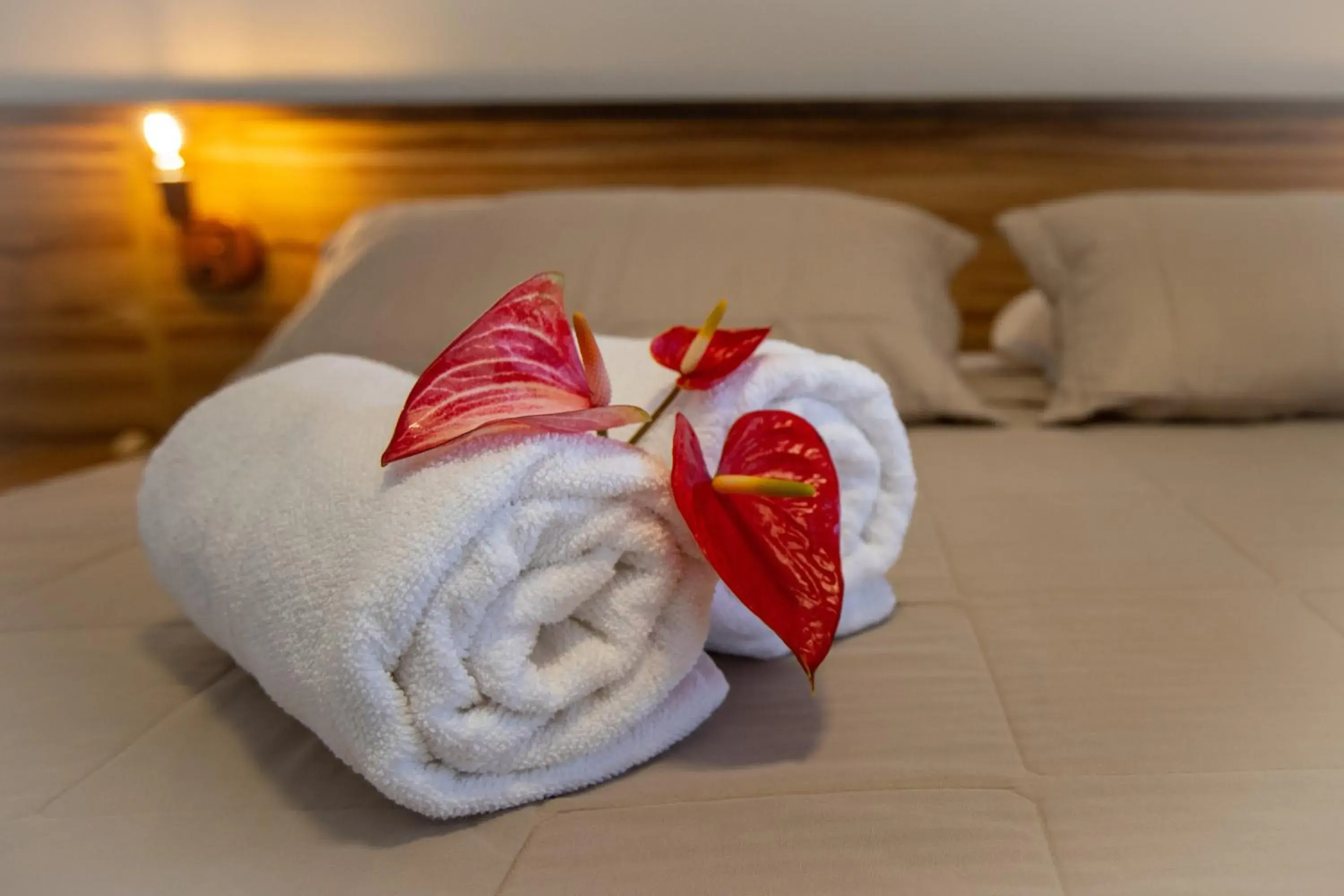 Standard Apartment in Pousada Vento Sul Standard Apartment in Pousada Vento Sul