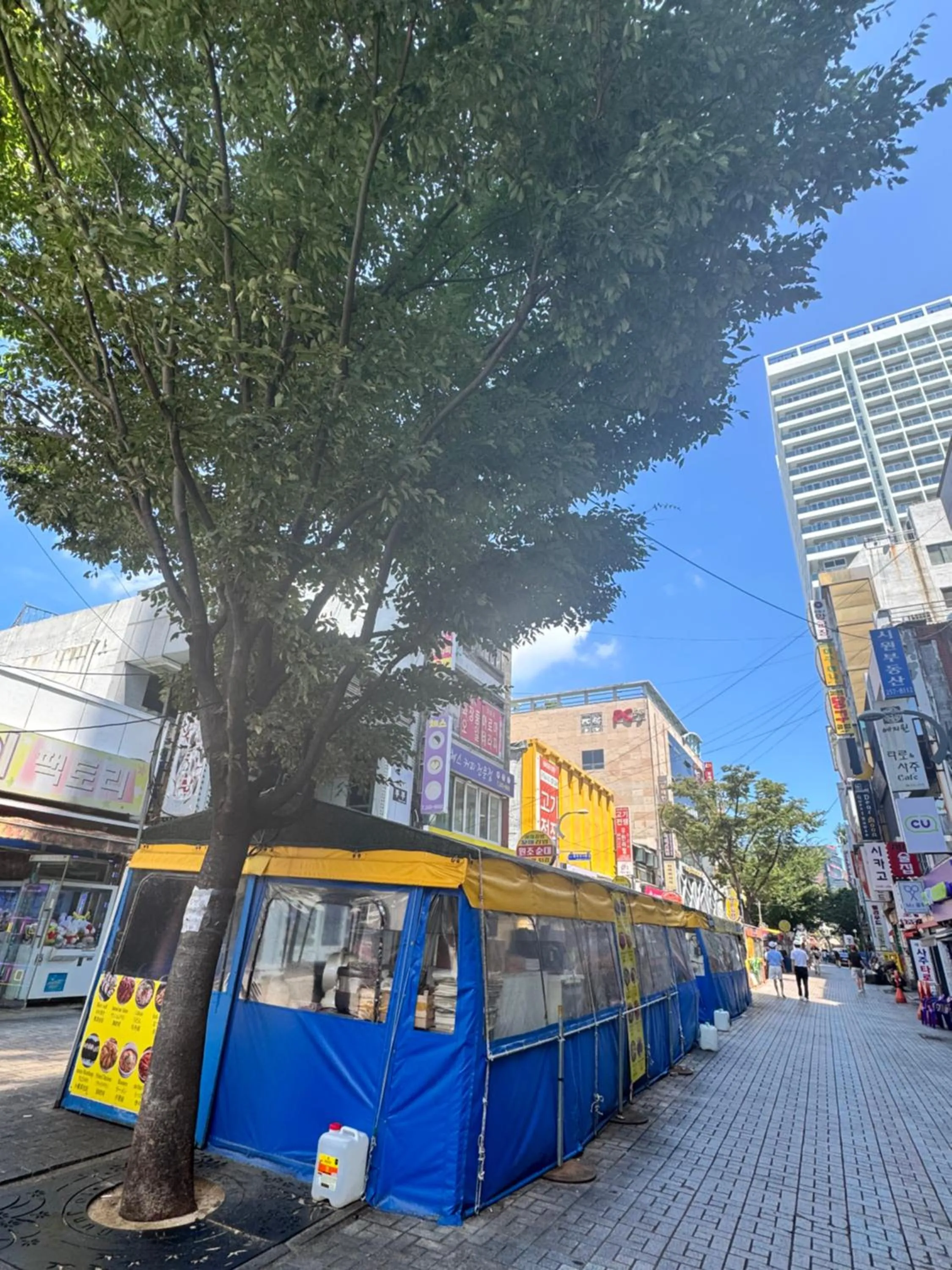 The Bayment Residence