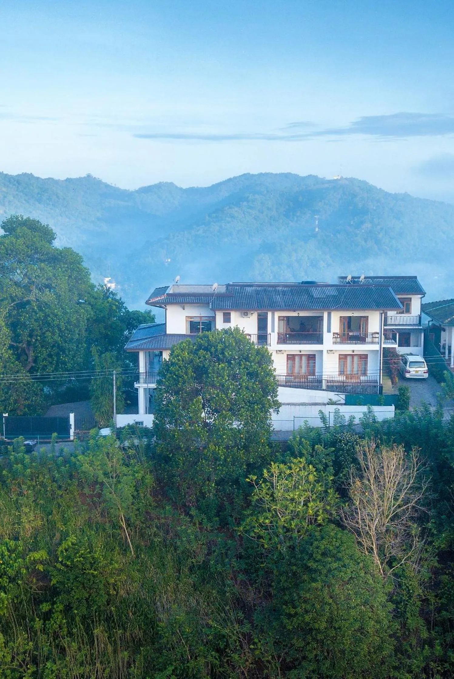 Bird's eye view in Jack Tree Lodge