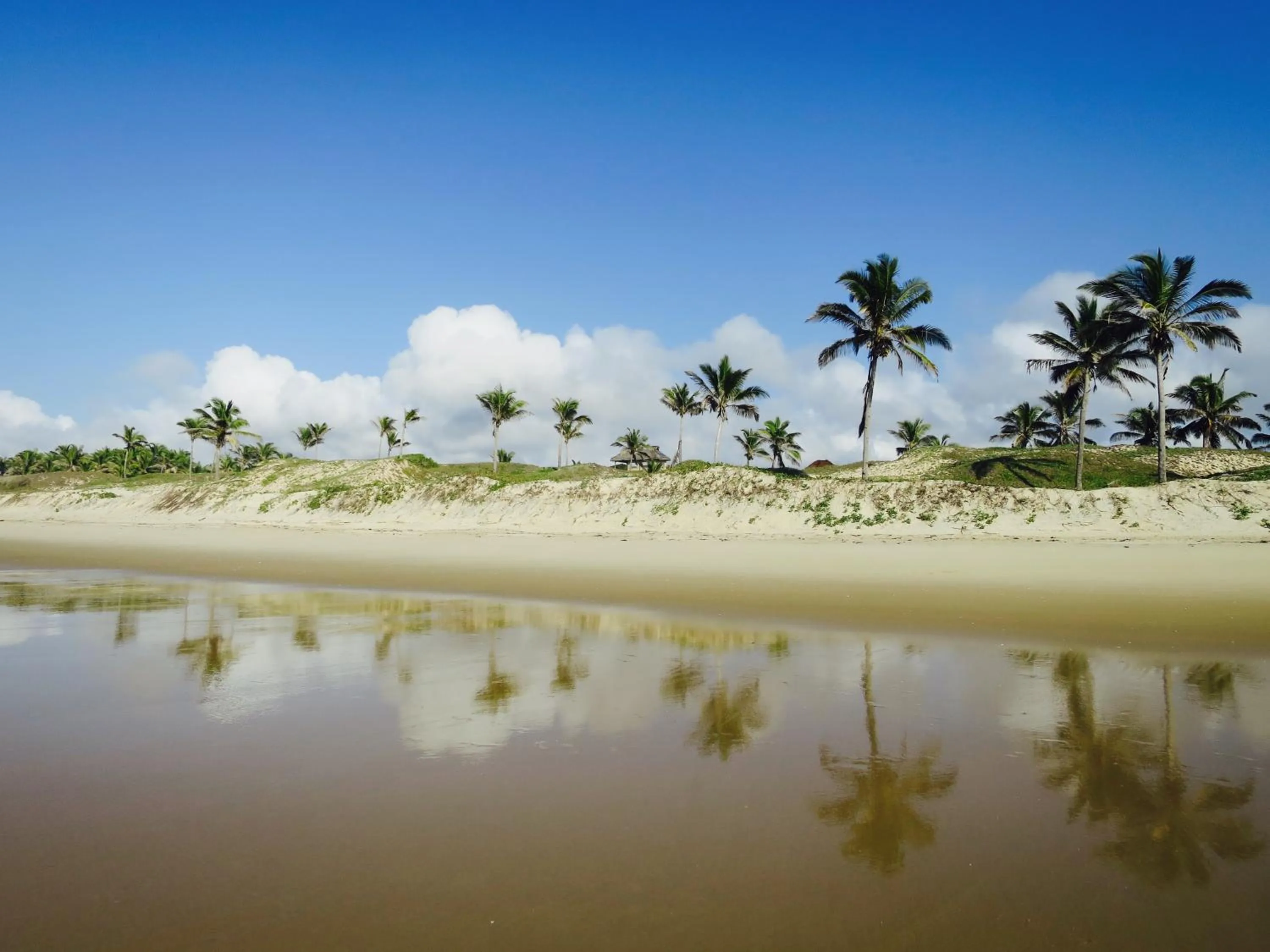 Beach in Travessia Beach Lodge