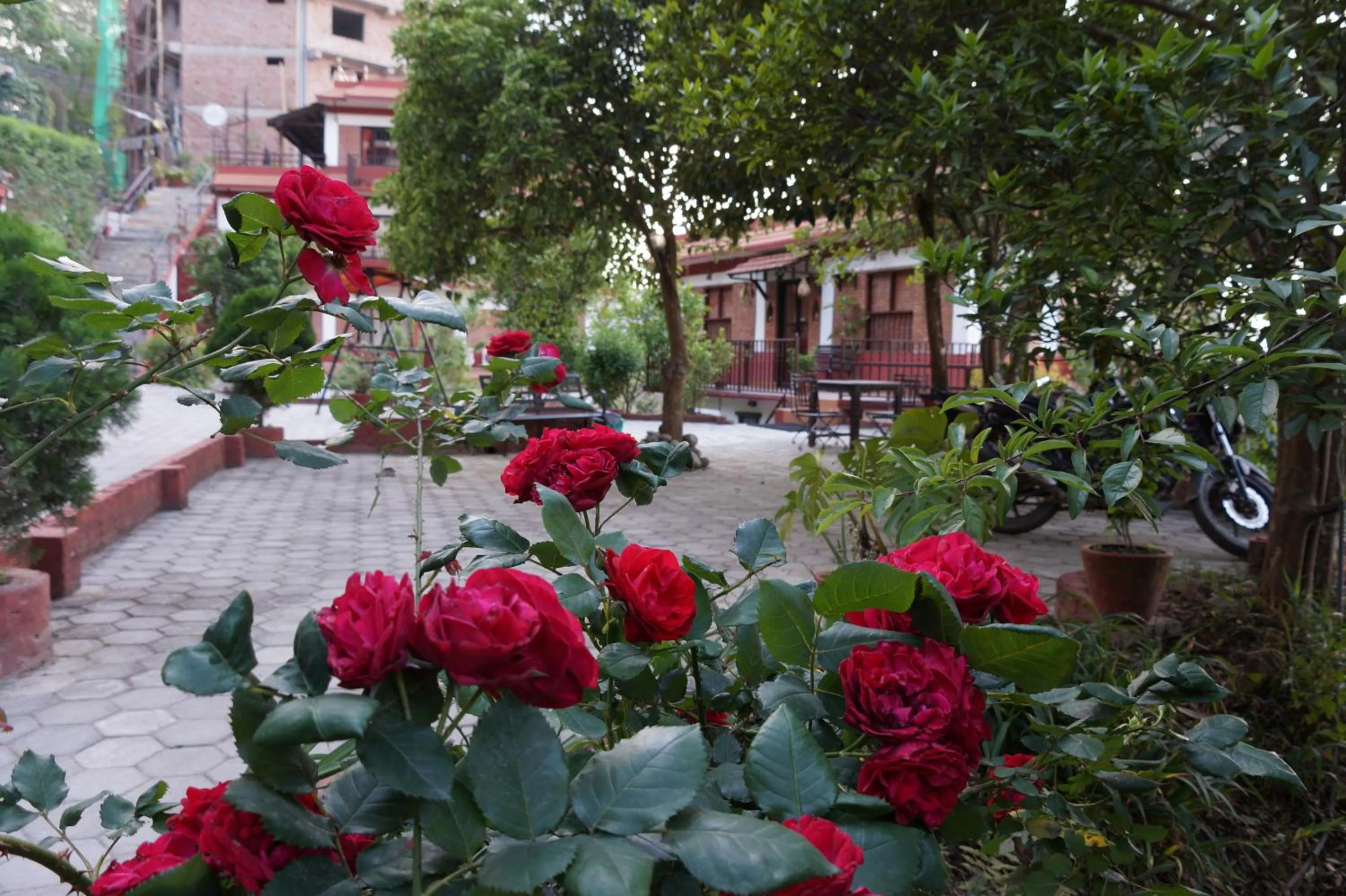 Spring in Gaia Holiday Home