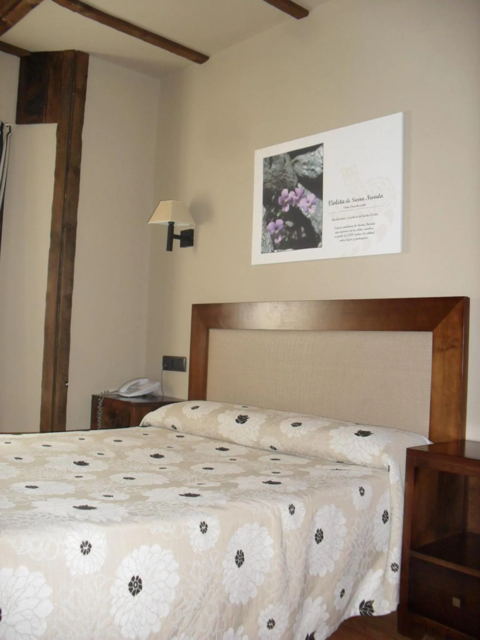 Bed in Hotel Zerbinetta