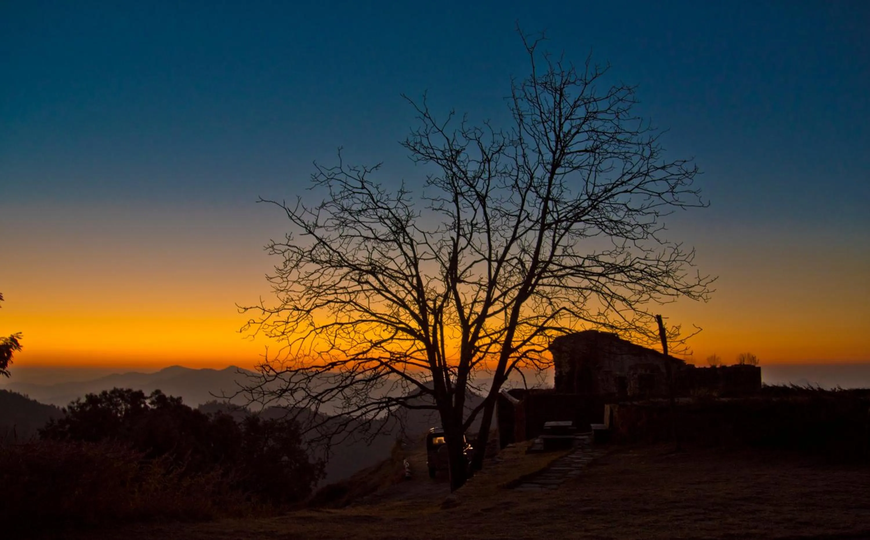Garden in Tree of Life Grand Oak Manor Binsar