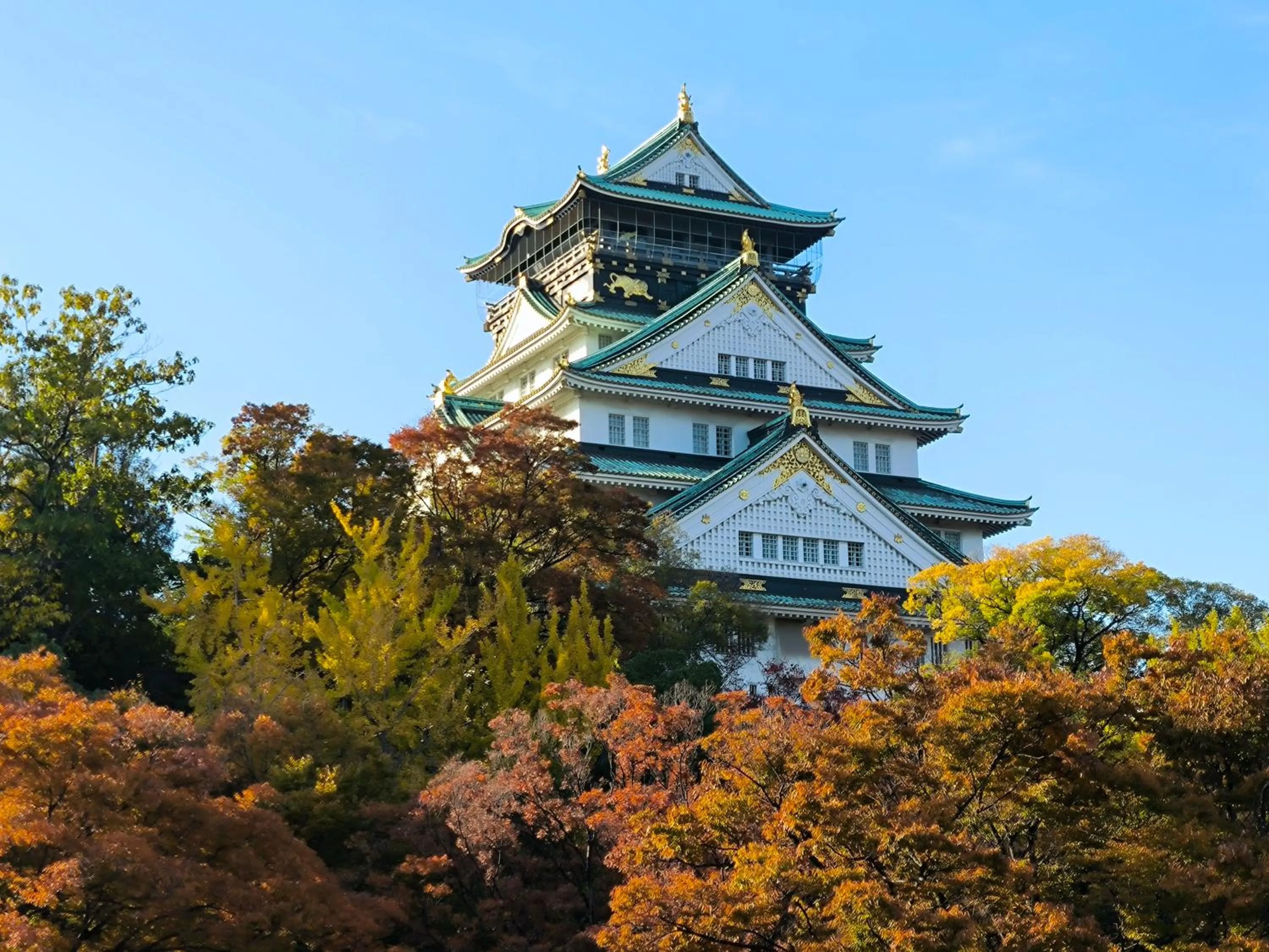 Nearby landmark in HOTEL AMANEK Osaka Namba