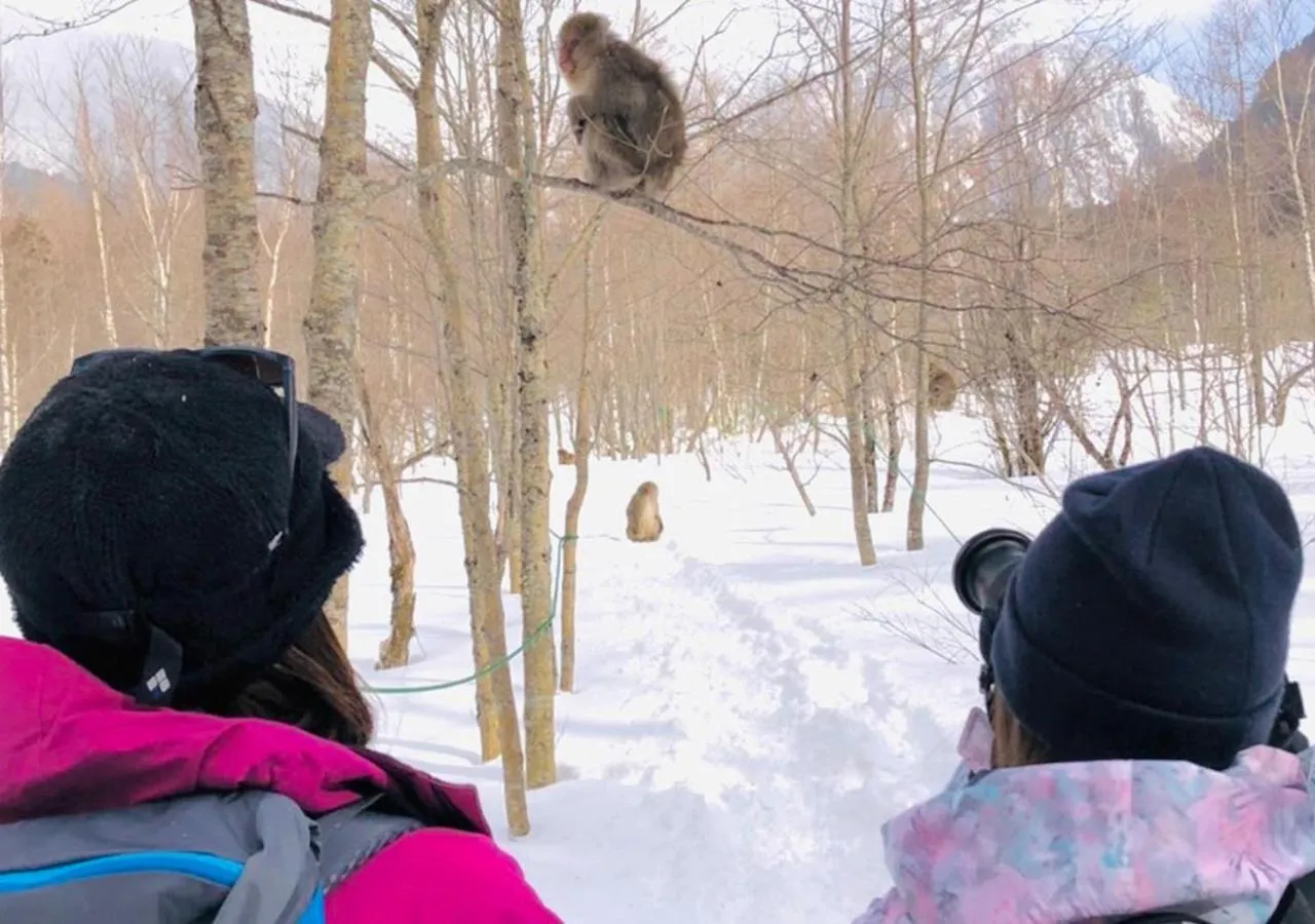 Nearby landmark in Tajimakan