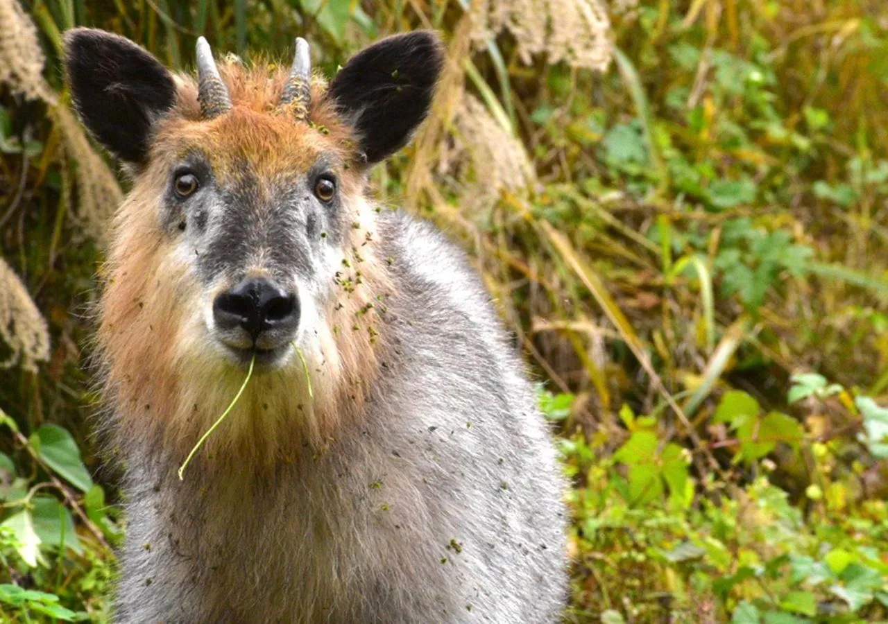 Neighbourhood in Tajimakan