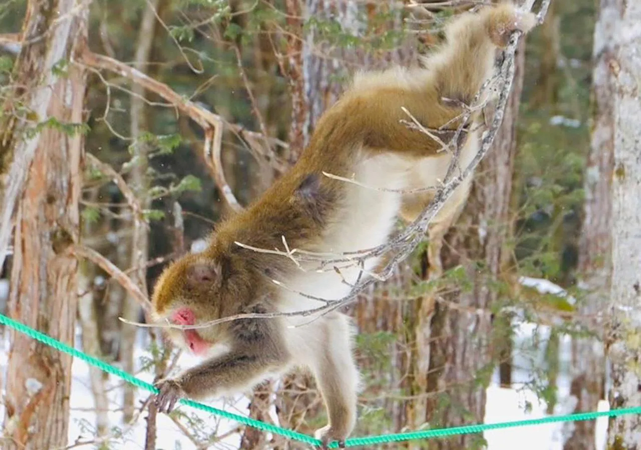 Nearby landmark in Tajimakan