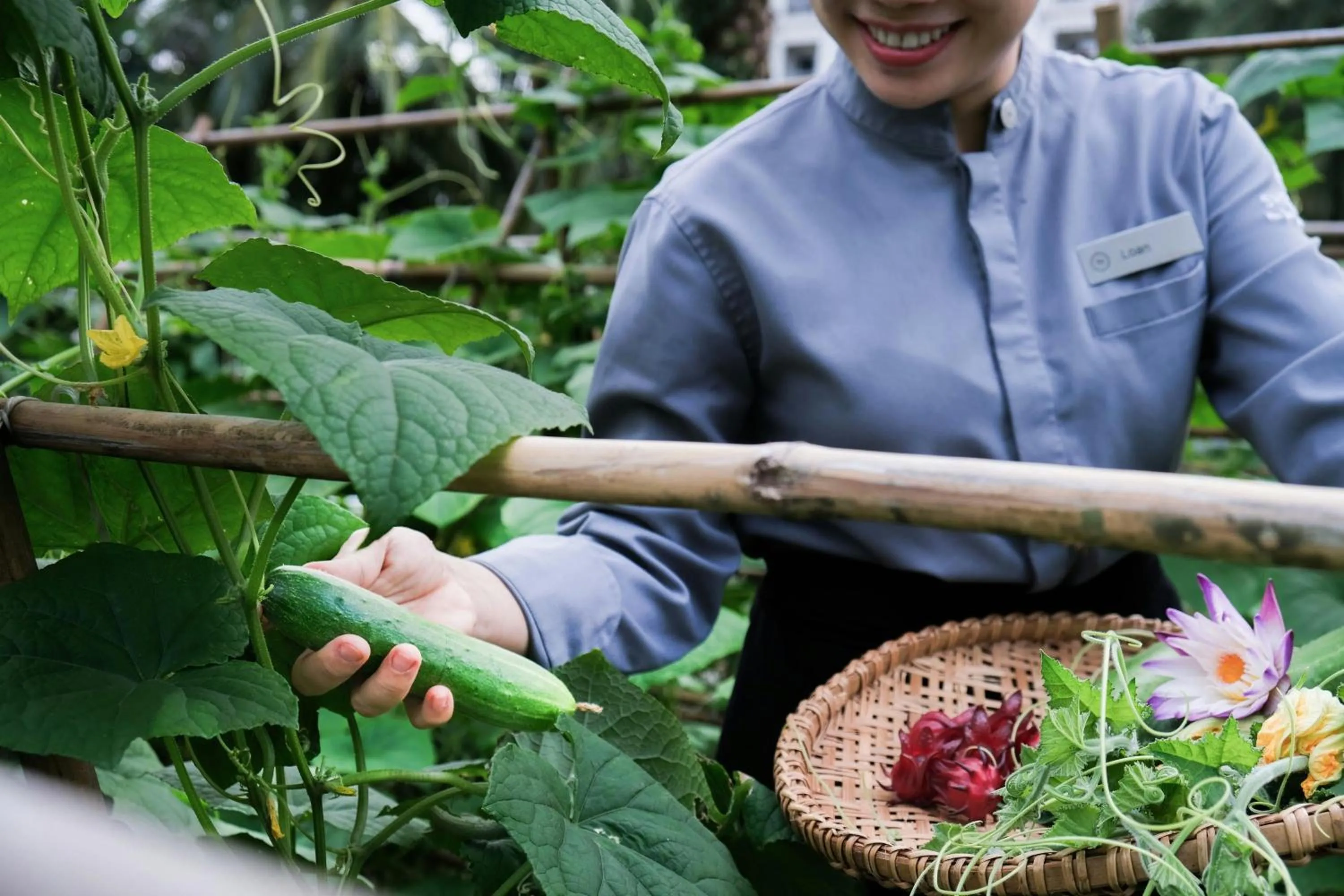 Other in Sheraton Phu Quoc Long Beach Resort