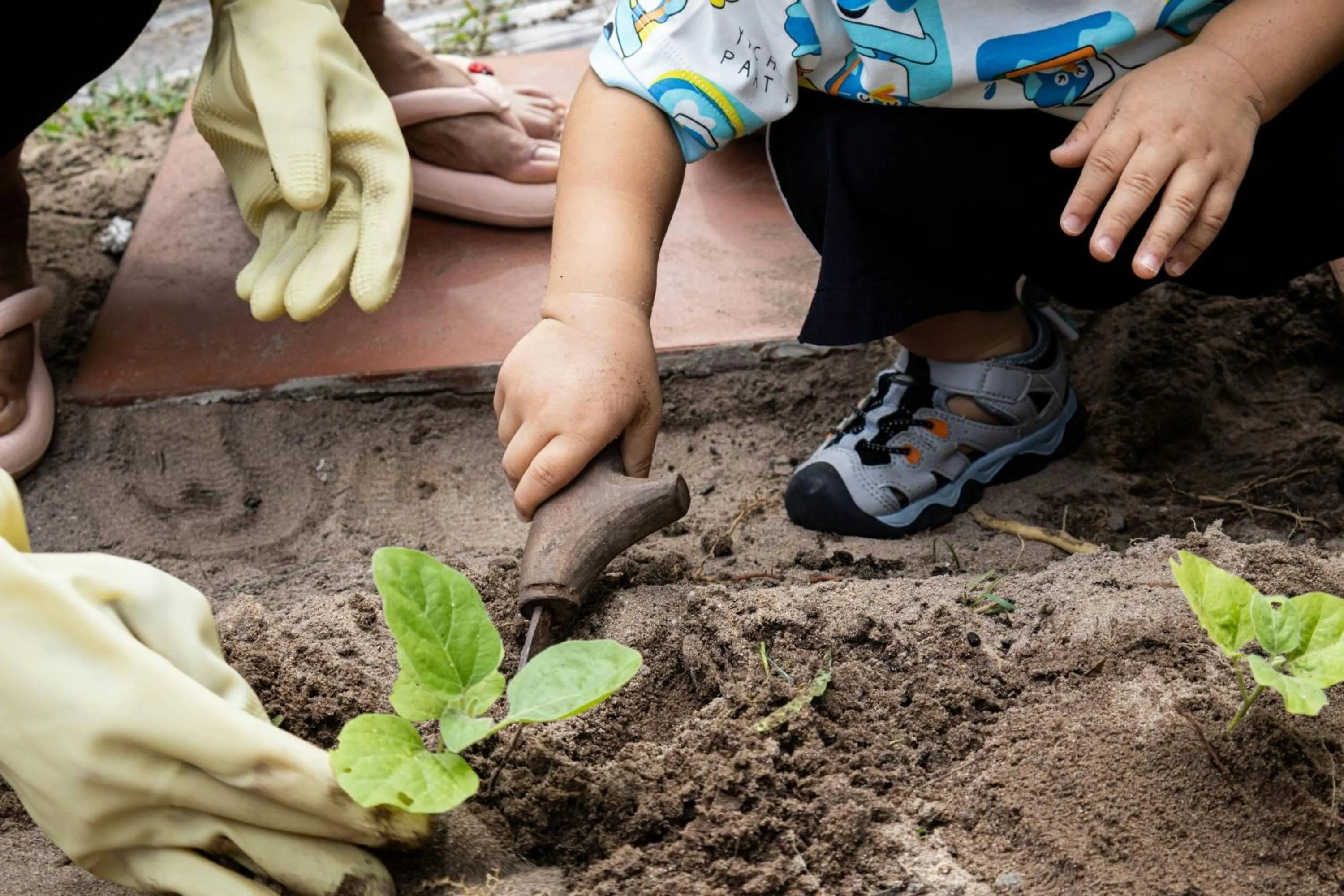 Other in Sheraton Phu Quoc Long Beach Resort