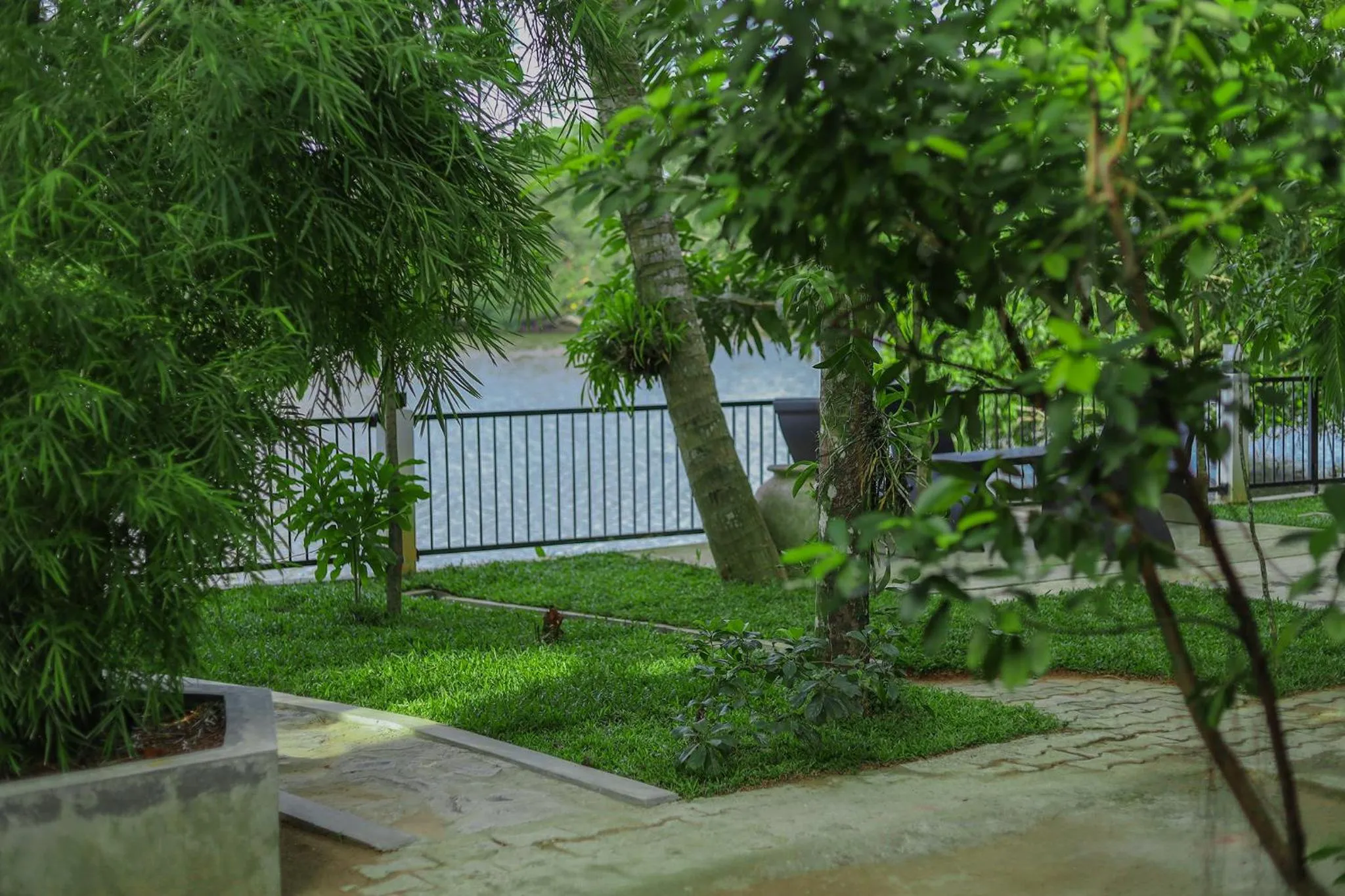 Garden in Tinara River Inn, Weligama