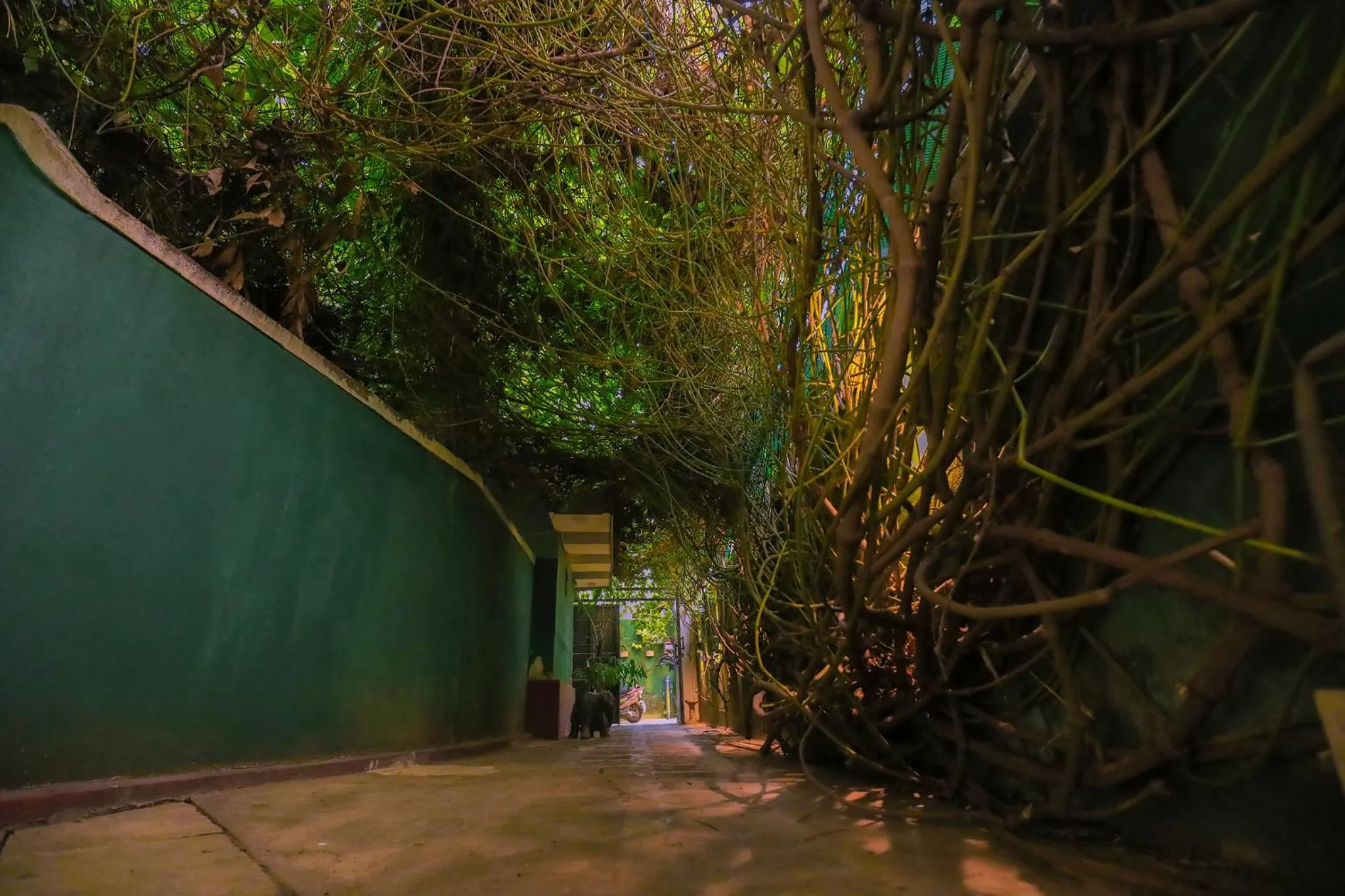 Natural landscape in Tinara River Inn, Weligama