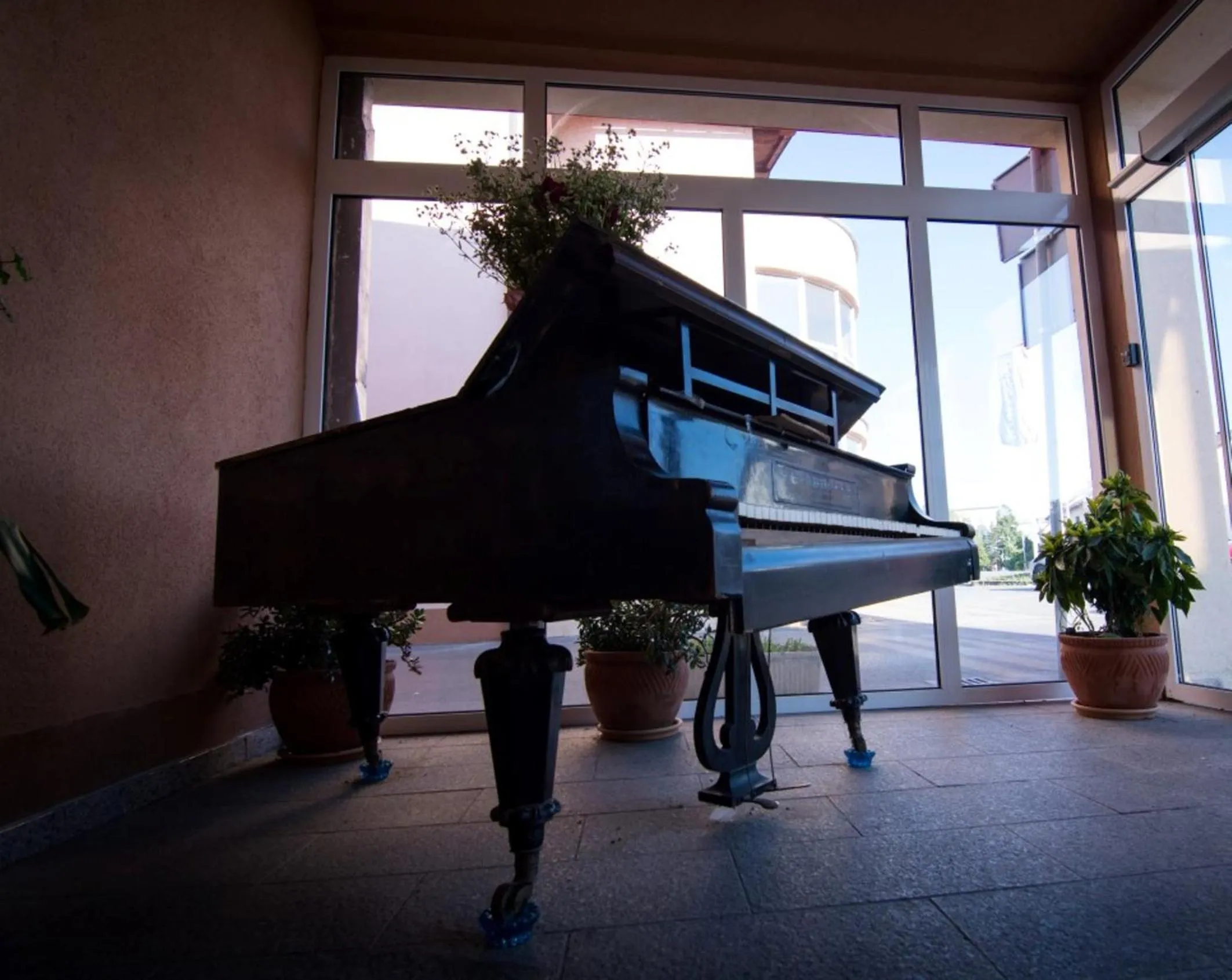 Decorative detail in Hotel Ana