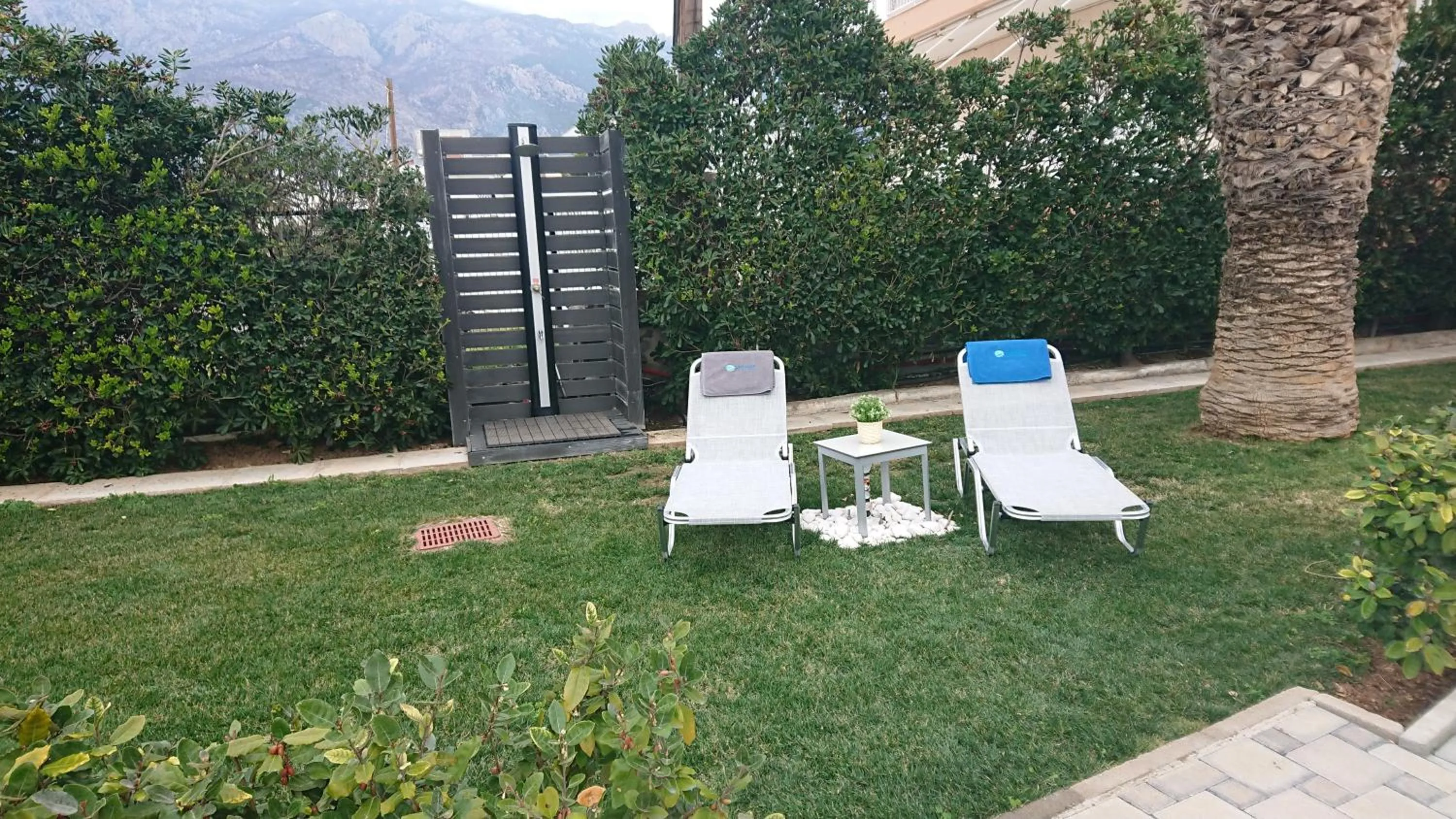 Garden in Diolkos Studios