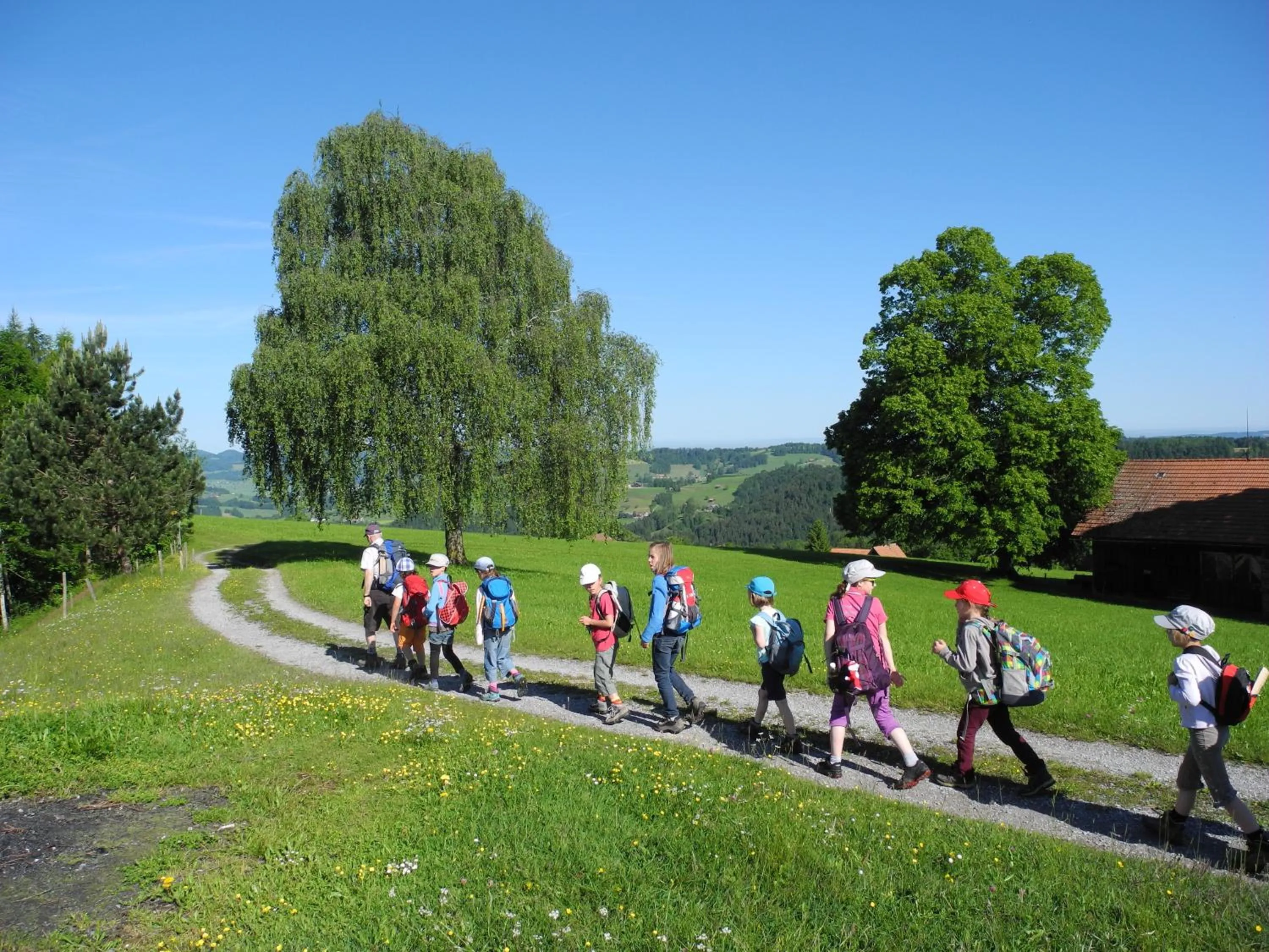 Activities in Hotel und Restaurant Wolfensberg