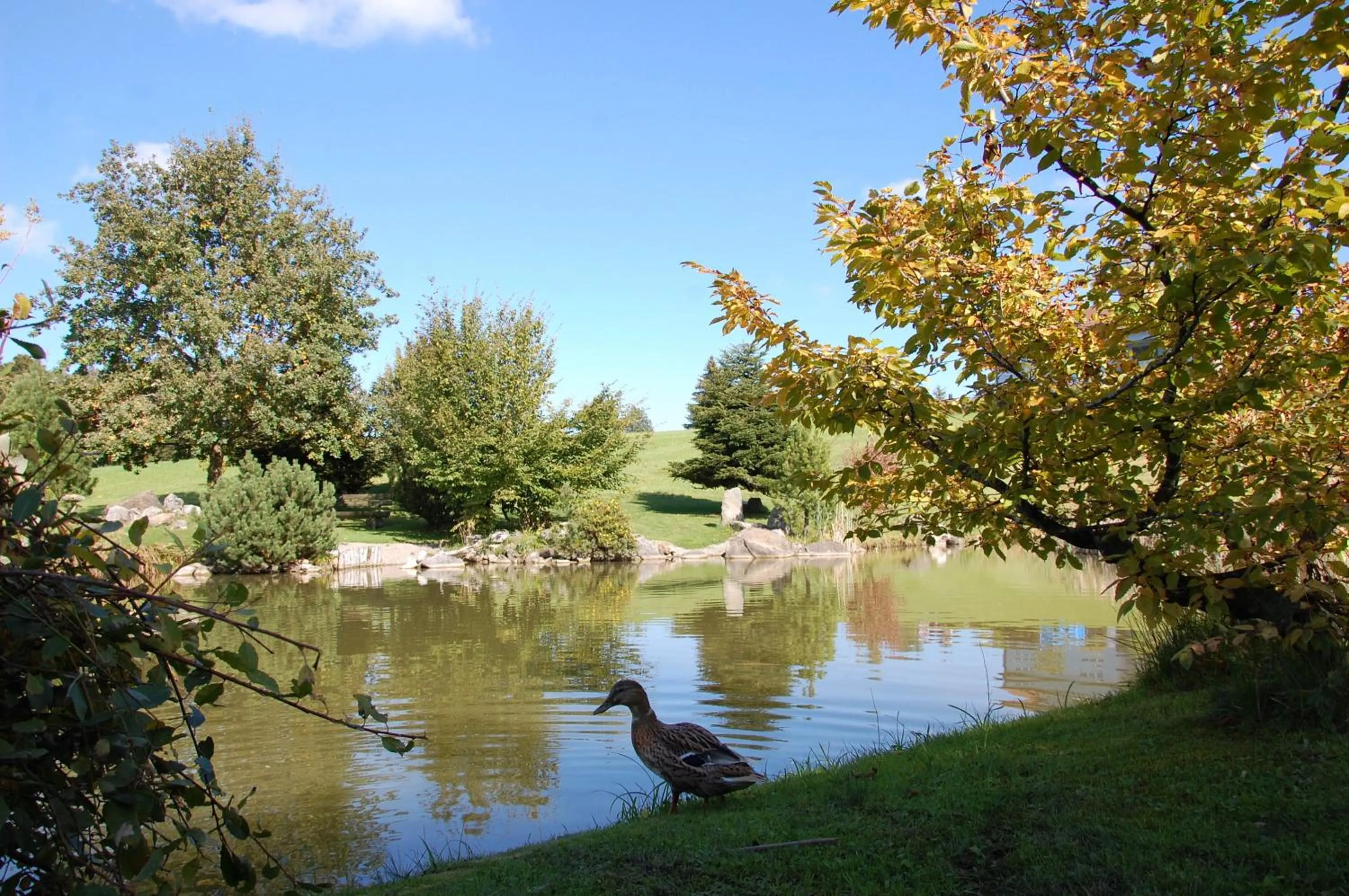 Summer in Hotel und Restaurant Wolfensberg