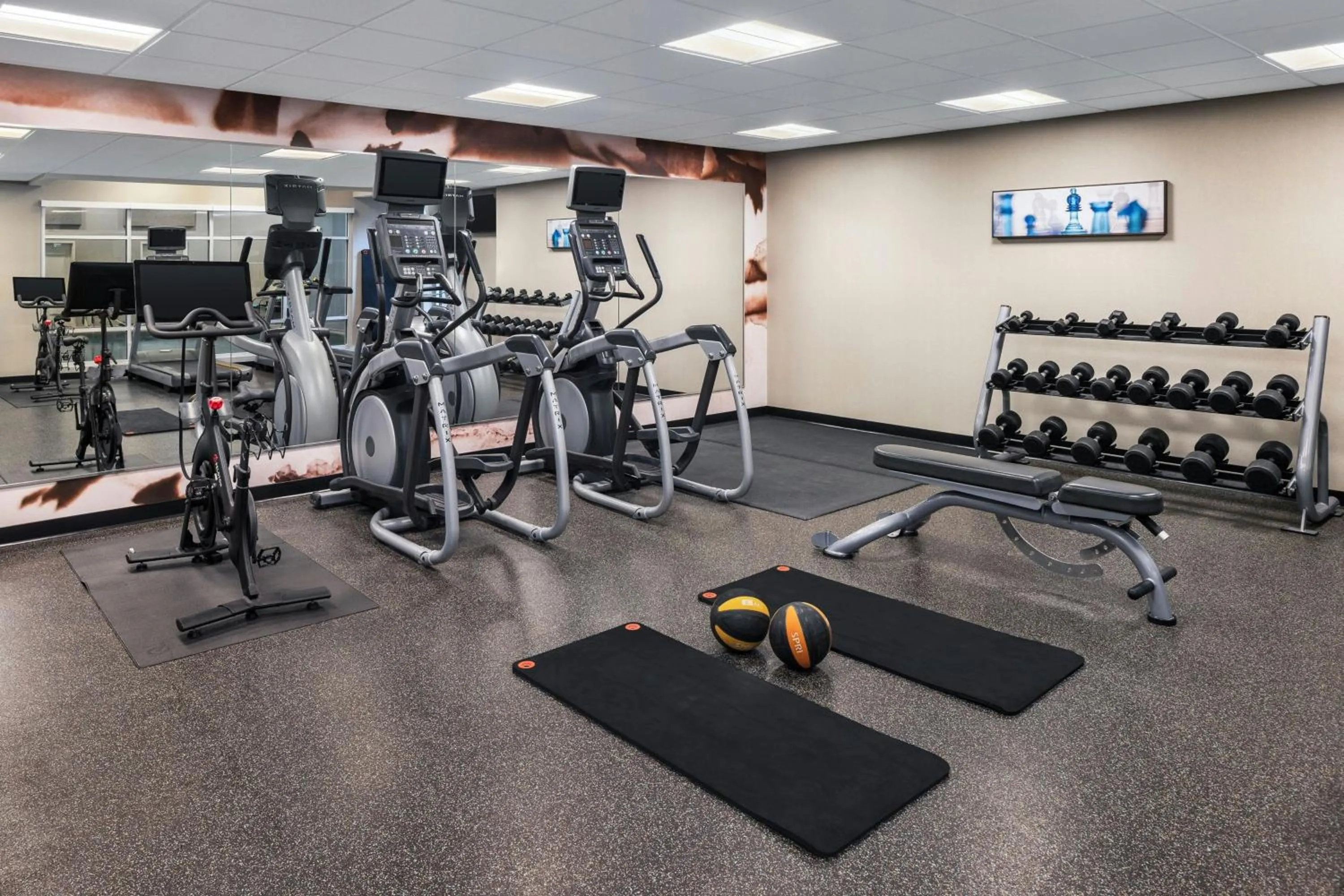 Fitness centre/facilities in Residence Inn by Marriott Ann Arbor Downtown