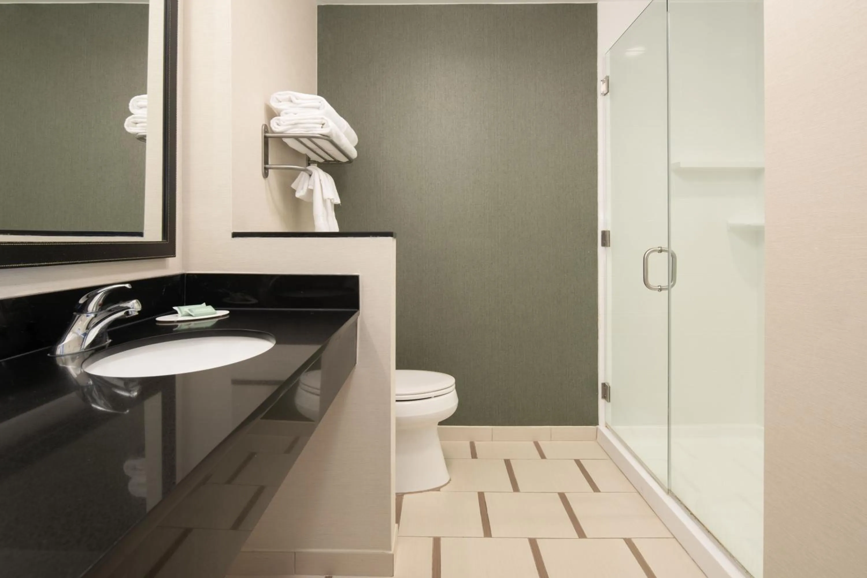 Bathroom in Fairfield Inn & Suites by Marriott Tampa Westshore/Airport
