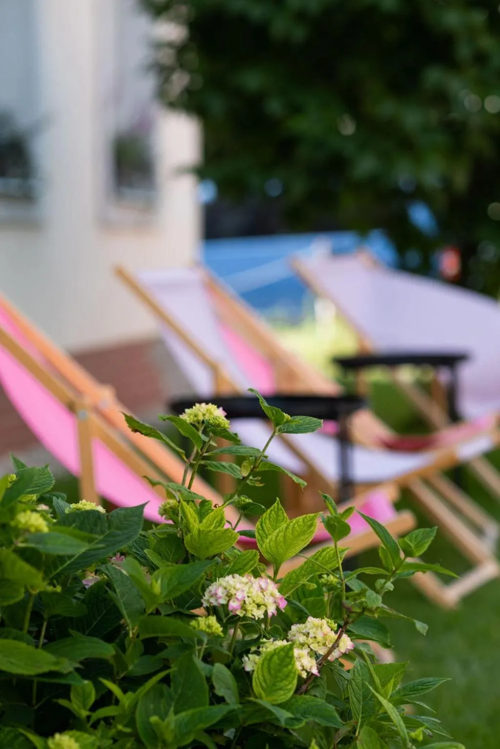 Property building in Fairhotel