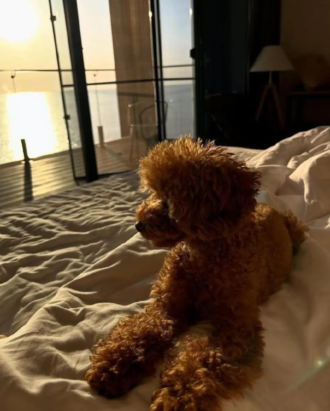 Bed in M1 Club Hotel