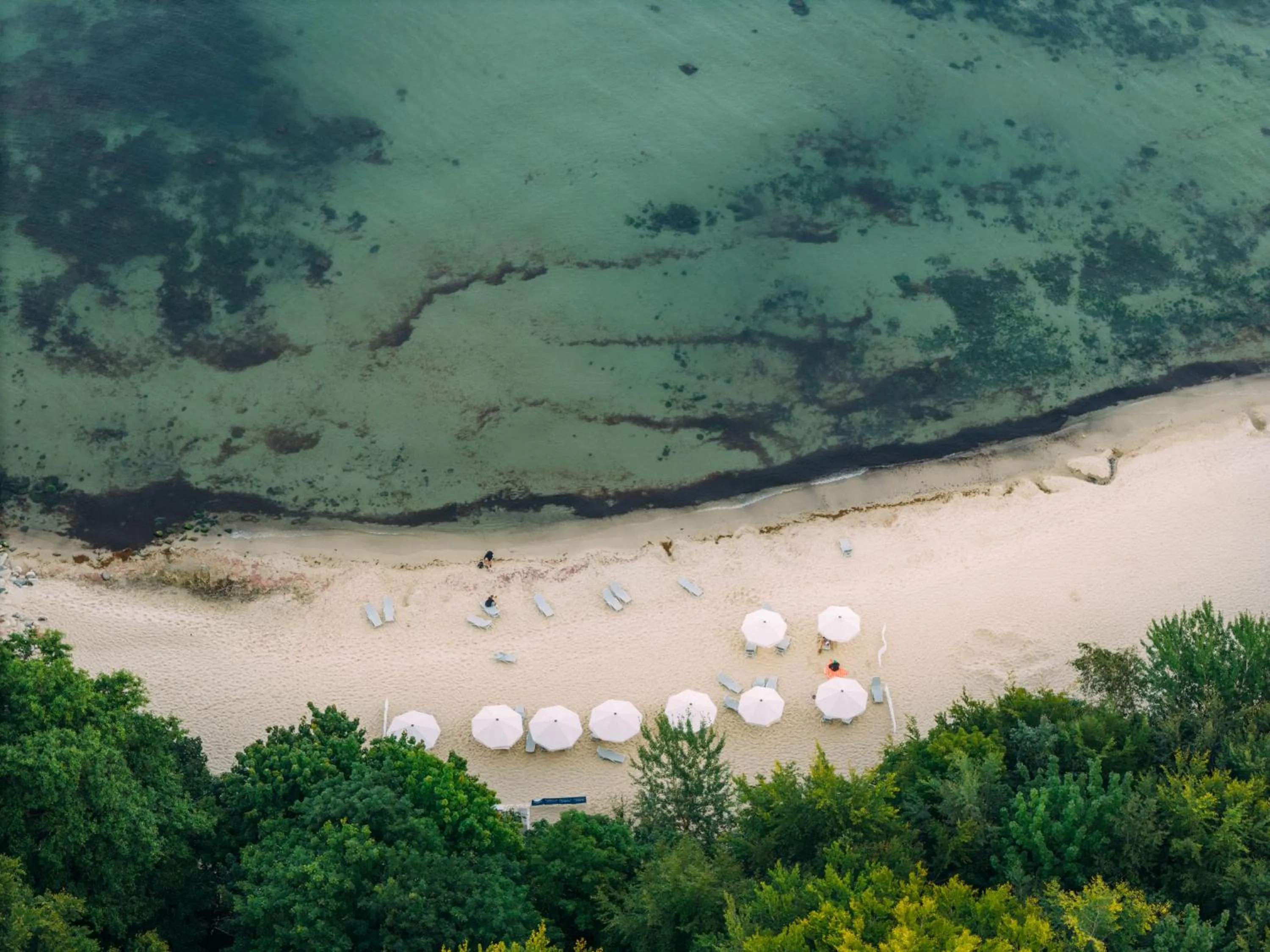 Natural landscape in Rosevia Resort & Spa