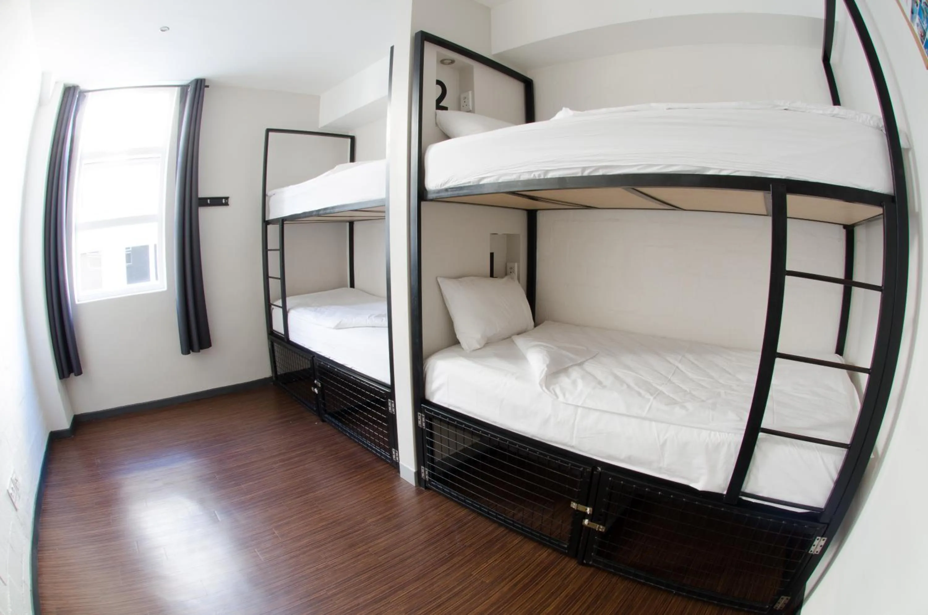 bunk bed, Bed in 91 Loop Boutique Hostel