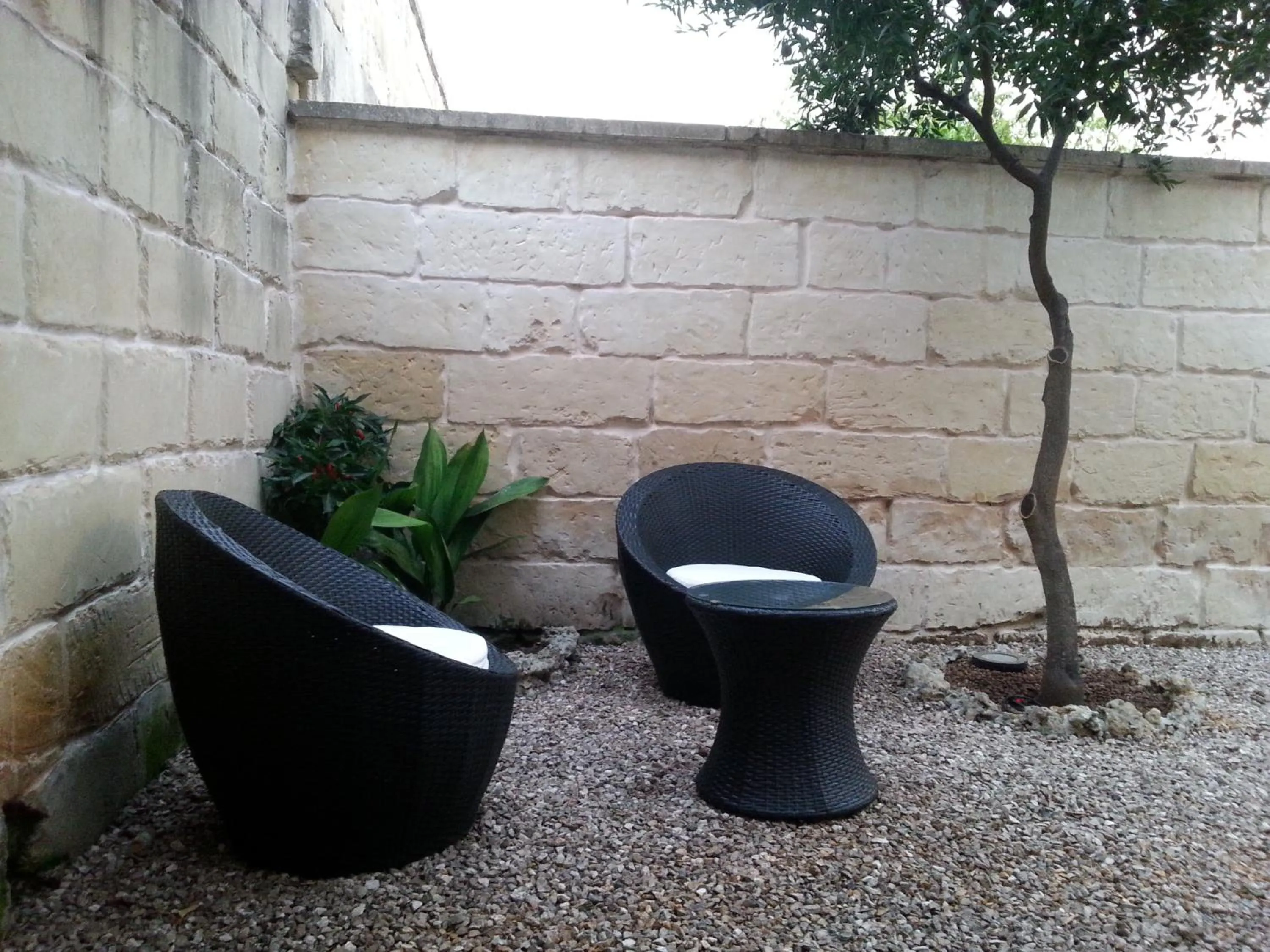 Garden in Monterussi Bed and Breakfast