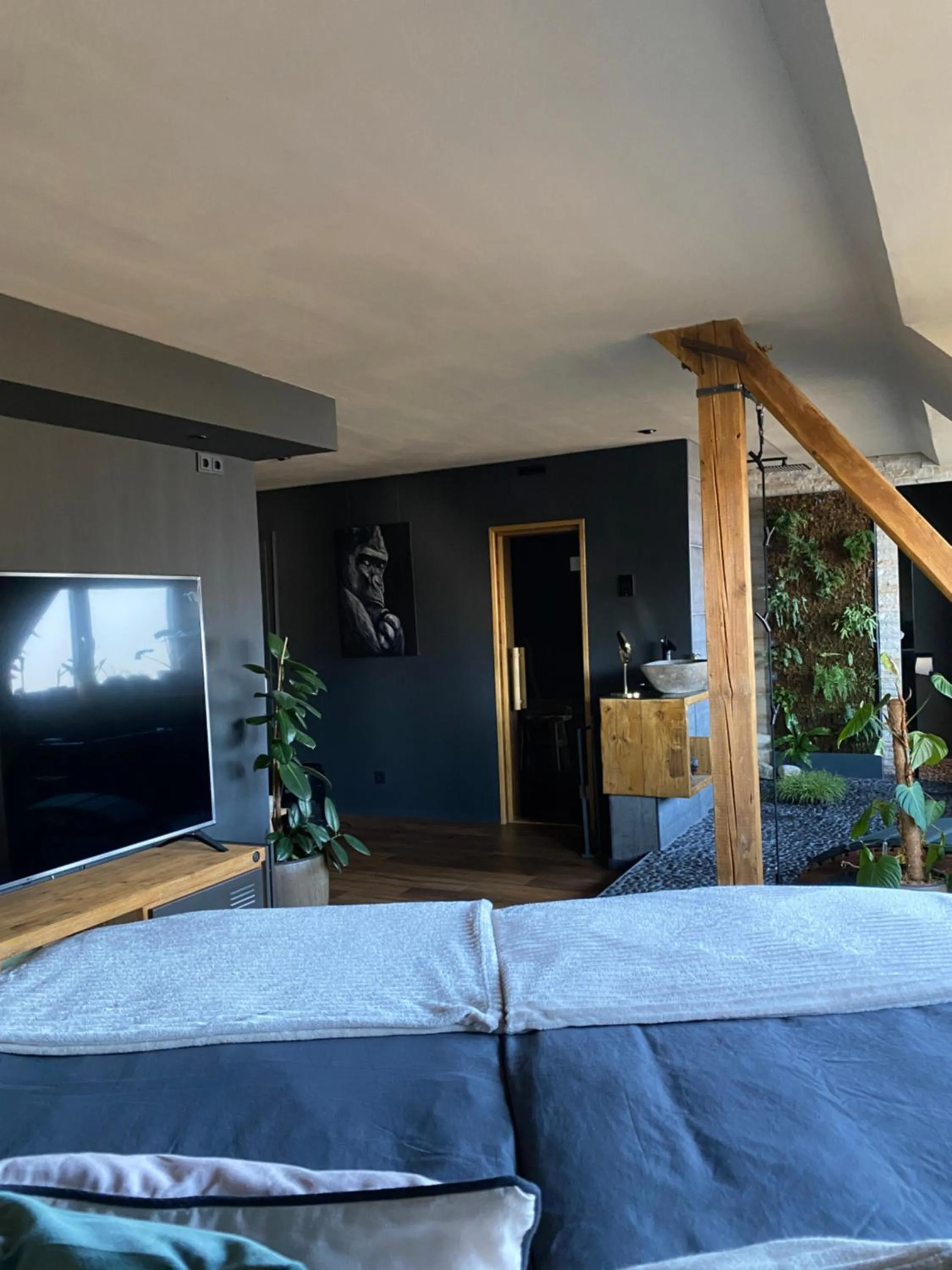 TV and multimedia in Wellness Suiten mit Whirlpool am Stadtrand von Essen