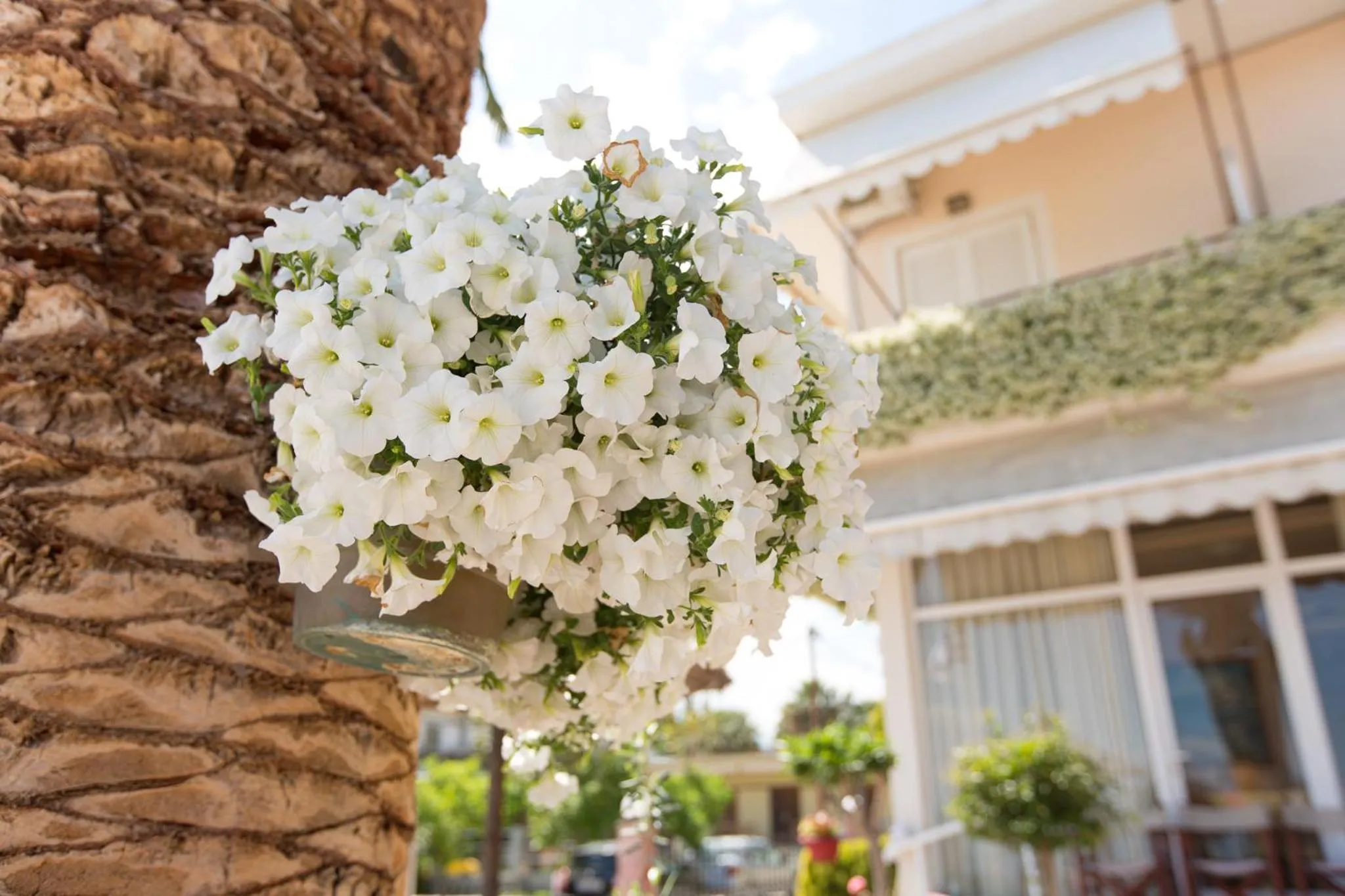 Decorative detail in Hotel Akti