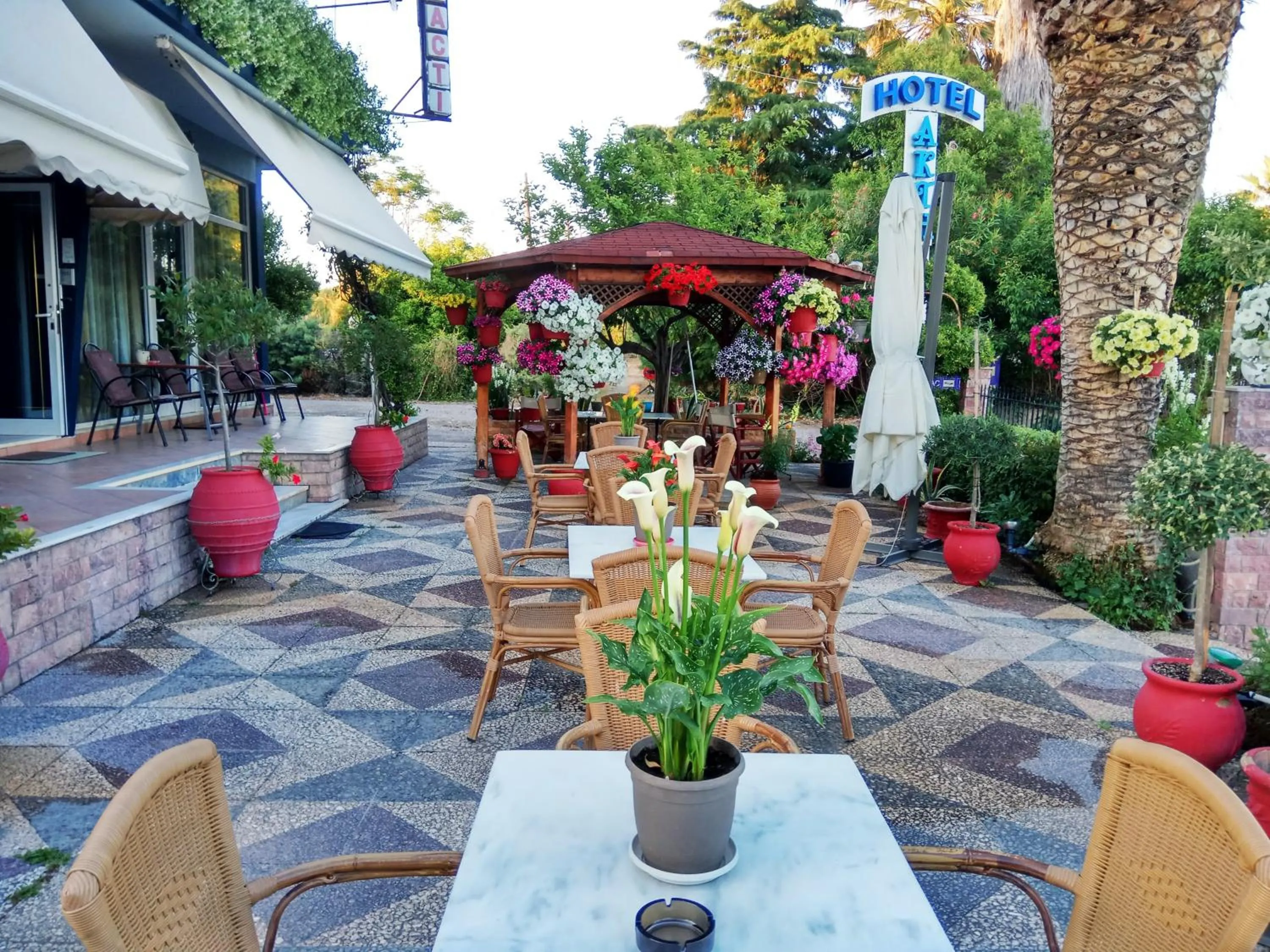 Garden in Hotel Akti