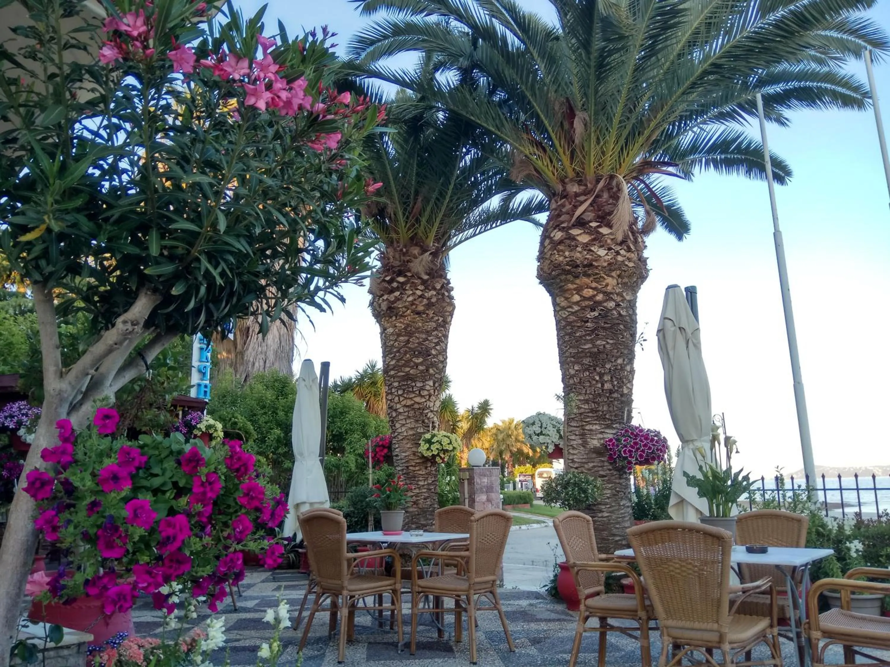 Garden in Hotel Akti