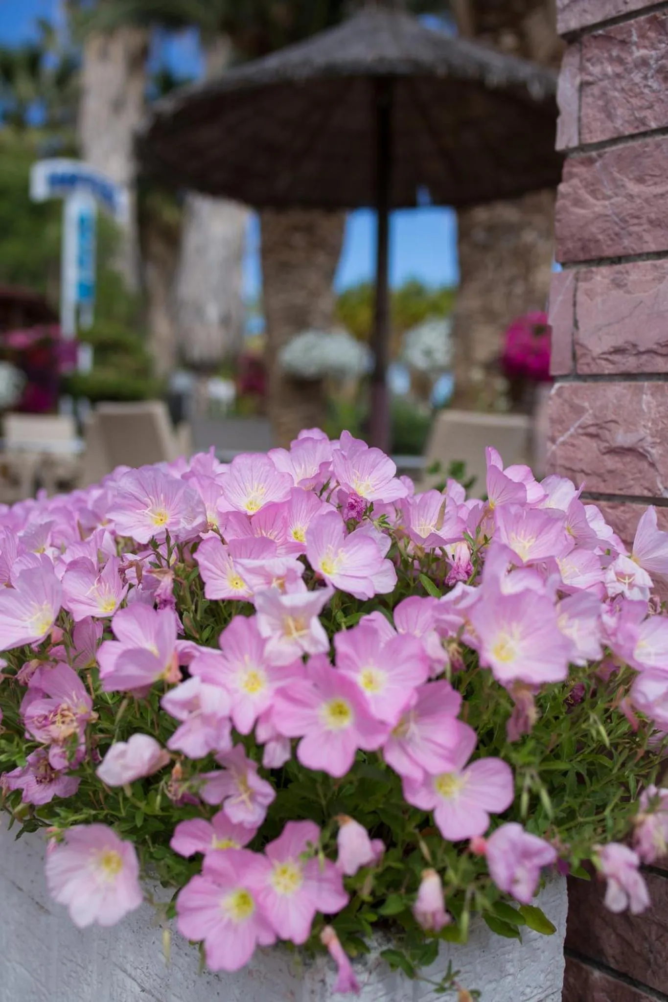 Decorative detail in Hotel Akti