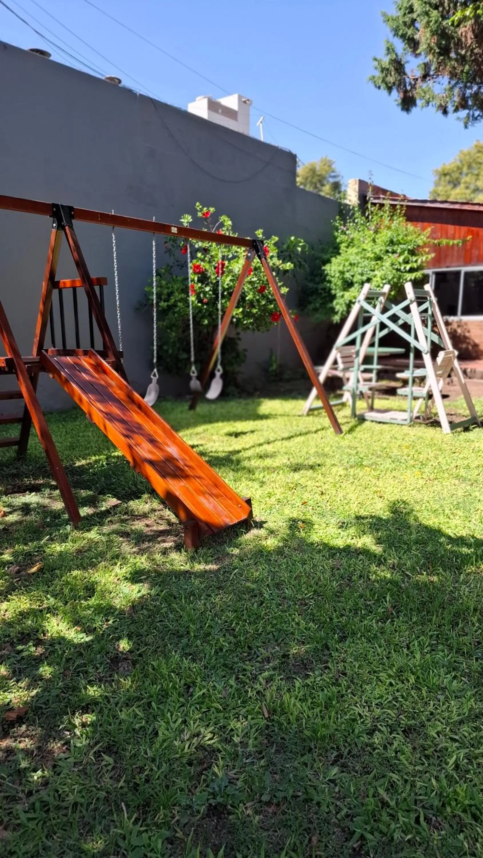 Garden in Hotel Mayoral