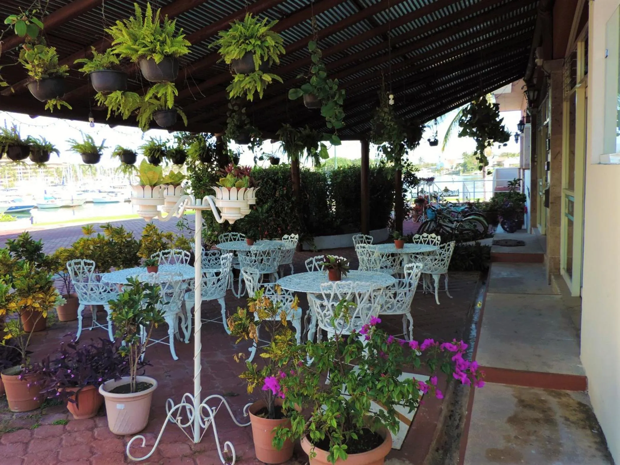 Balcony/Terrace in Marina Banderas Suites Hotel Boutique