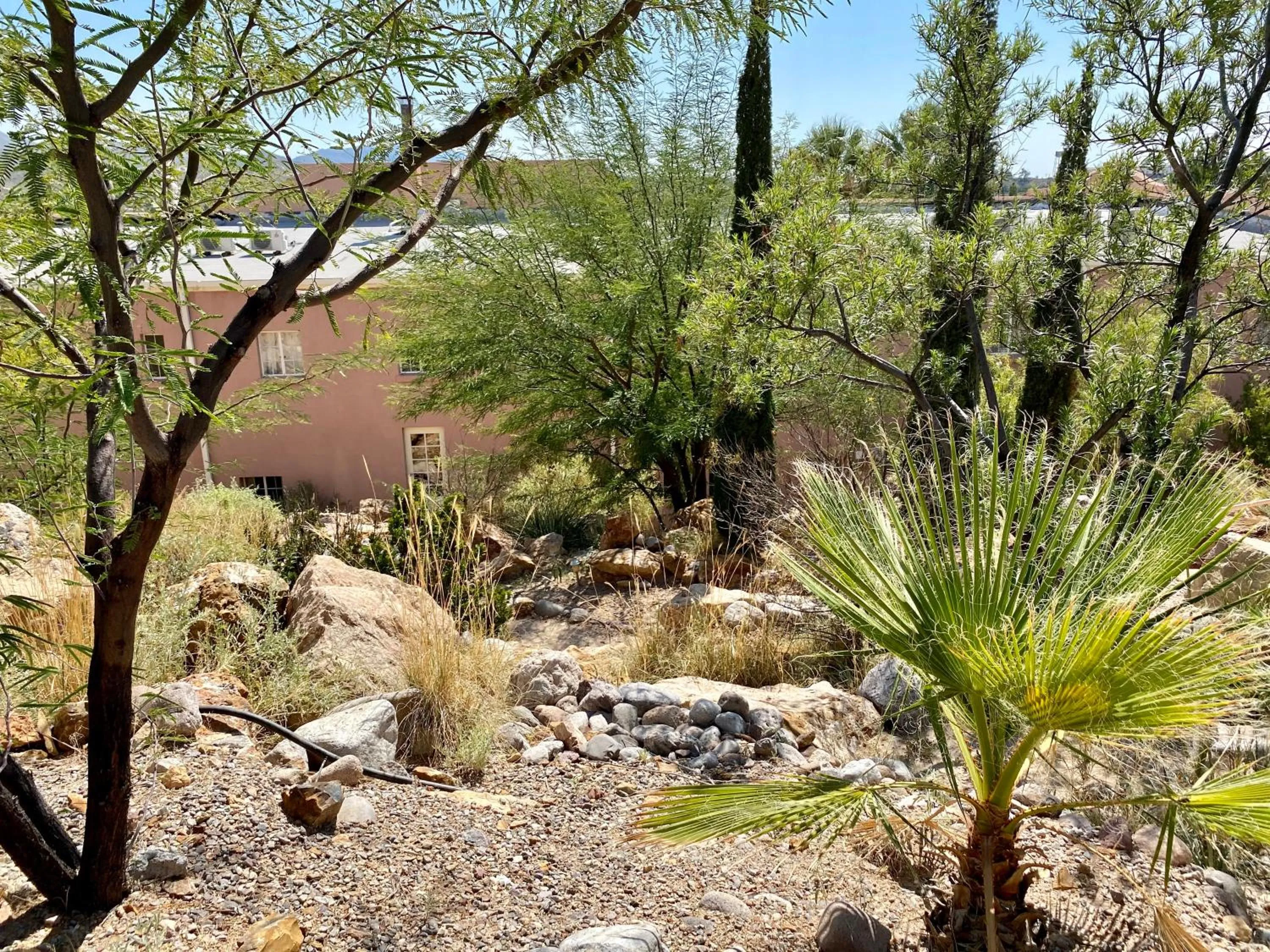 Natural landscape in Sierra Grande, a Ted Turner Retreat
