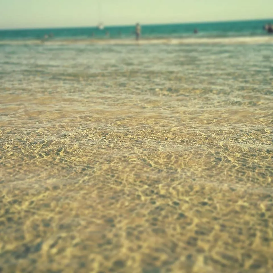 Natural landscape in Eden Beach Club