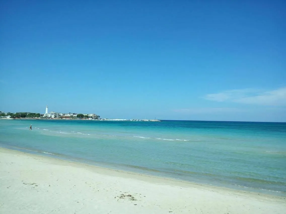Natural landscape in Eden Beach Club