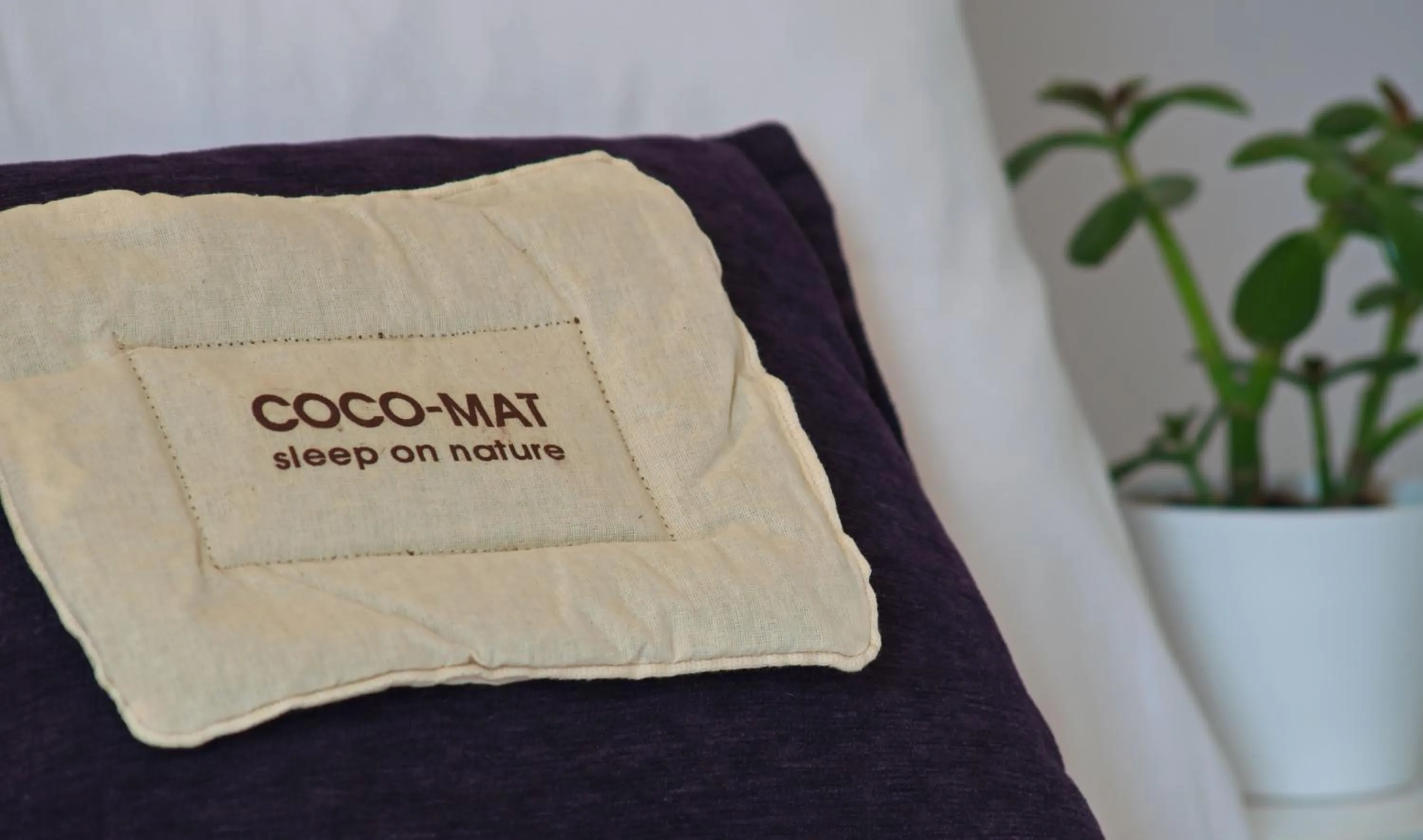 Property building in Camara Hotel