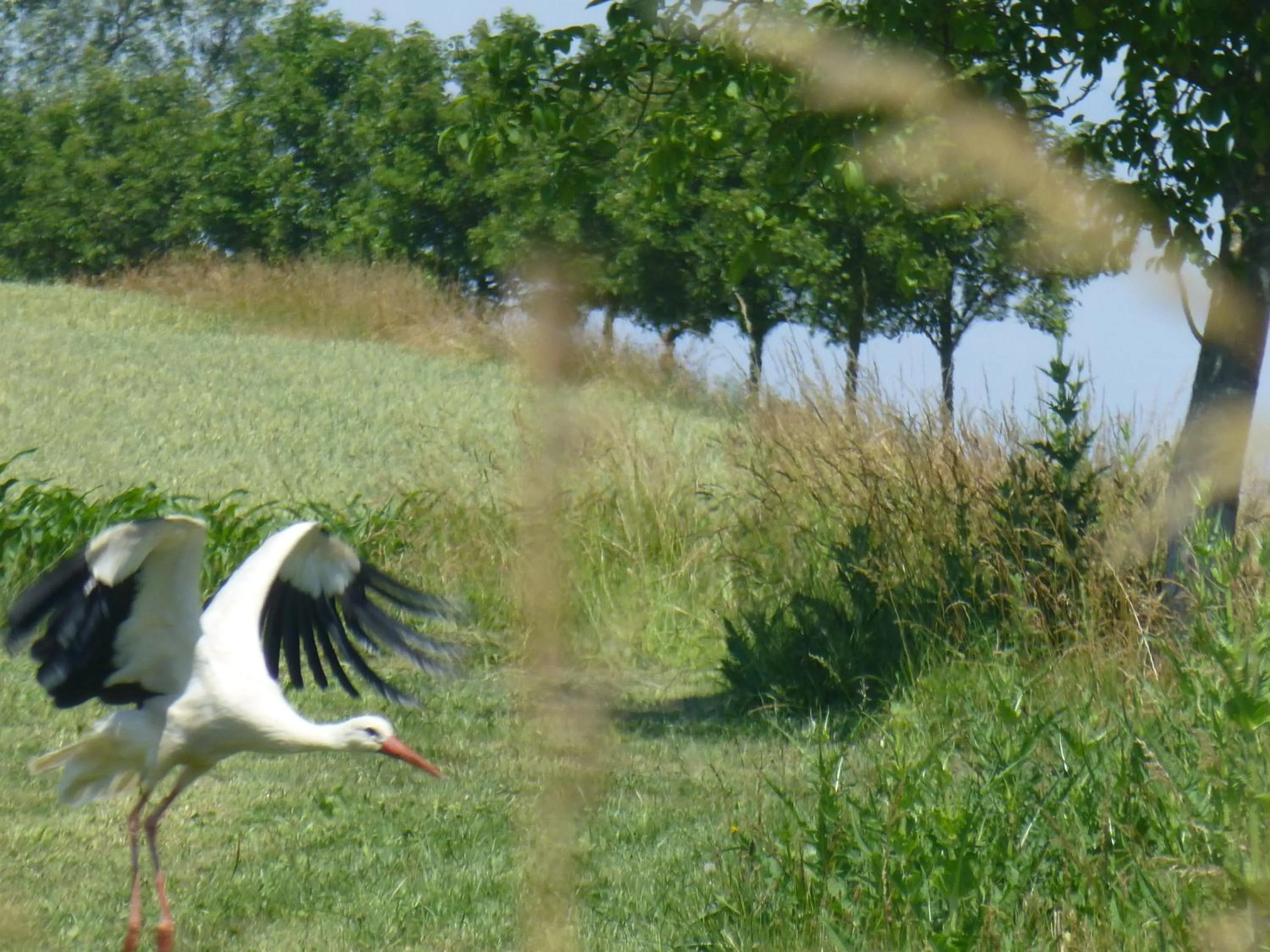 Nearby landmark in L’Été en Novembre