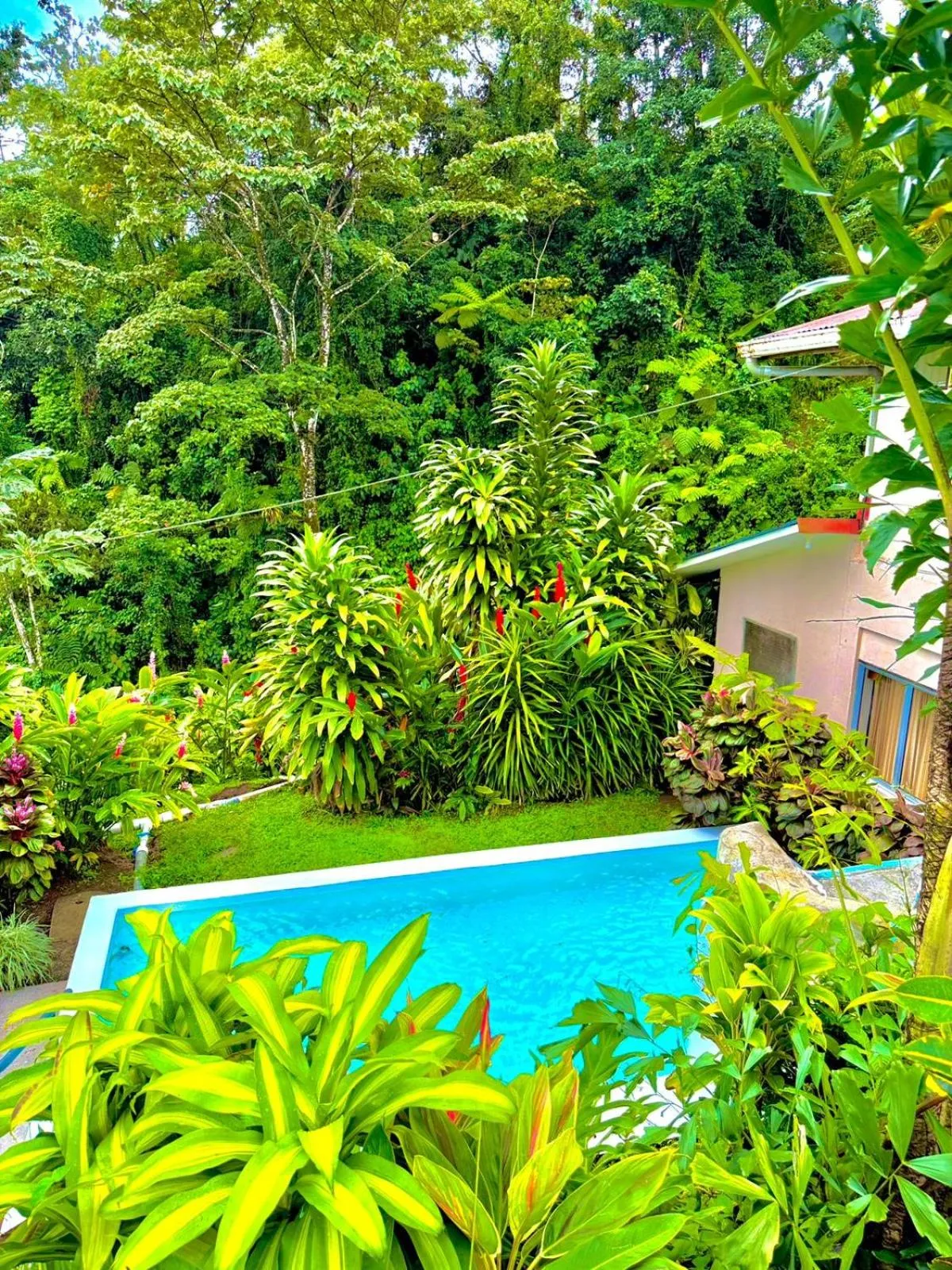 Swimming pool in Loma Real Hot Springs Bed & Breakfast