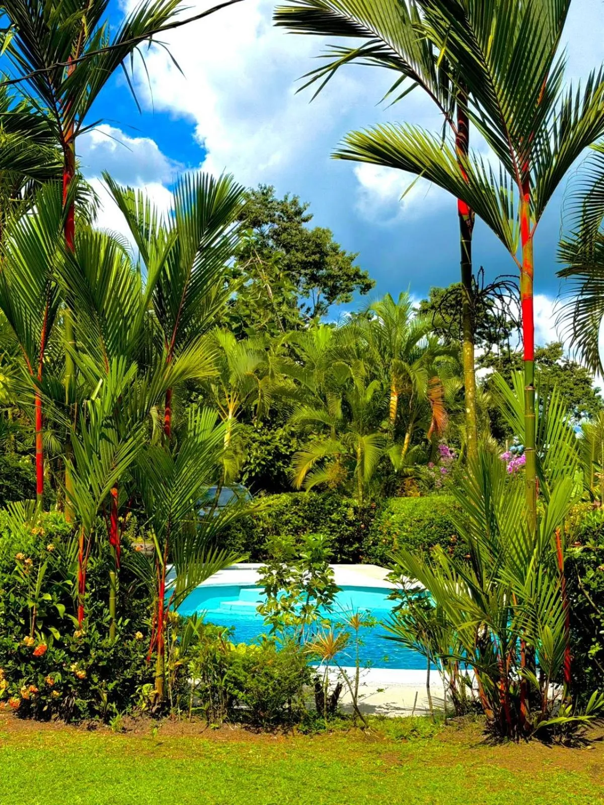 Loma Real Hot Springs Bed & Breakfast