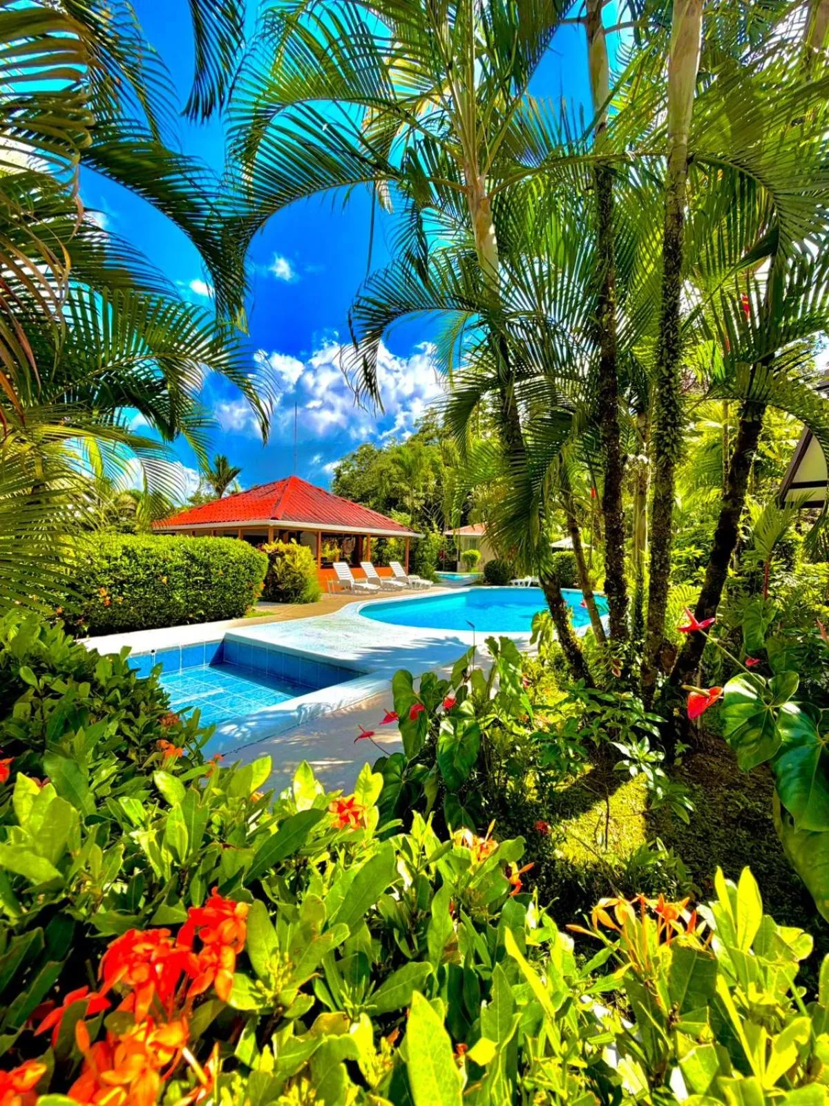 Swimming pool in Loma Real Hot Springs Bed & Breakfast