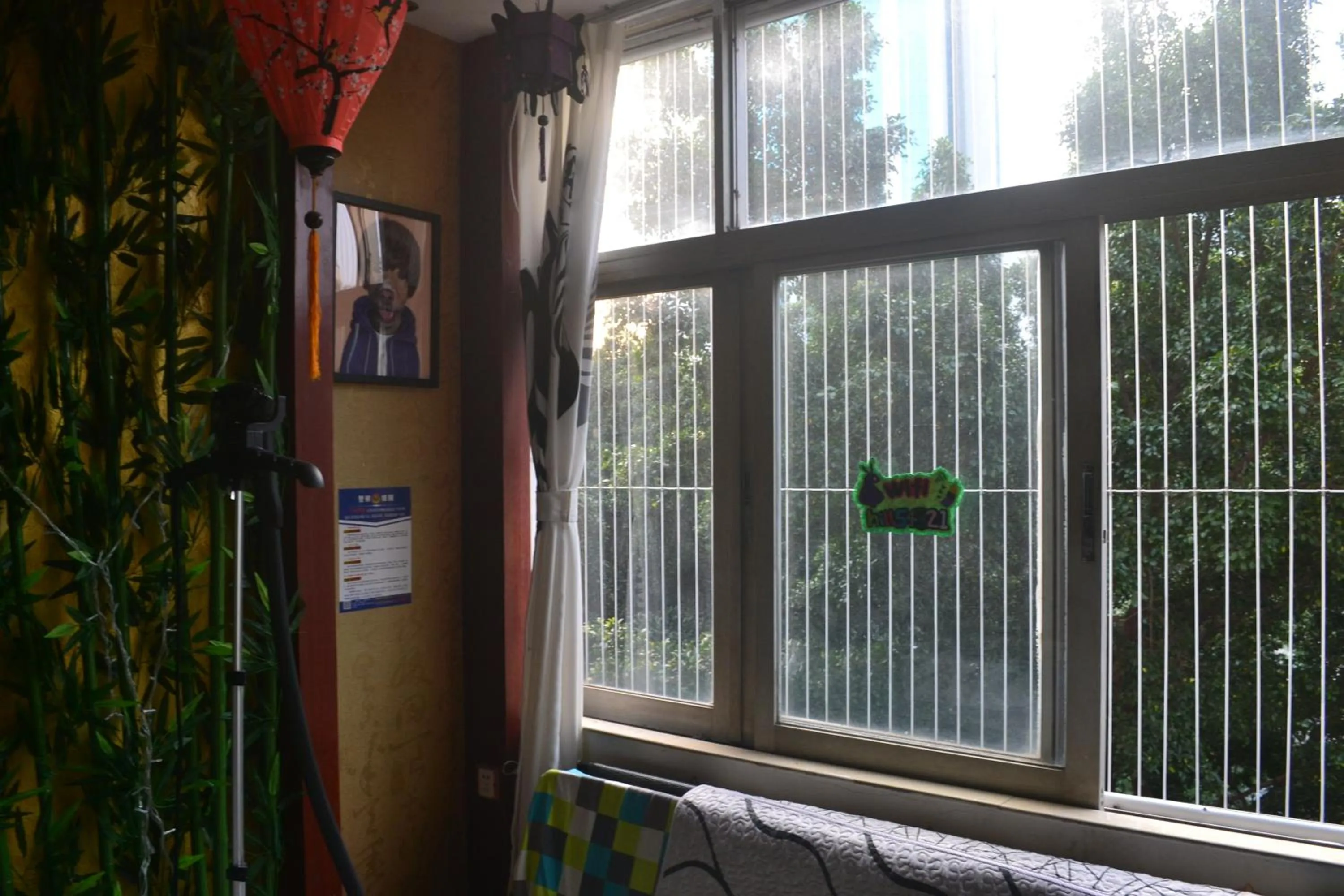 Lounge or bar in Notting Hill Hostel