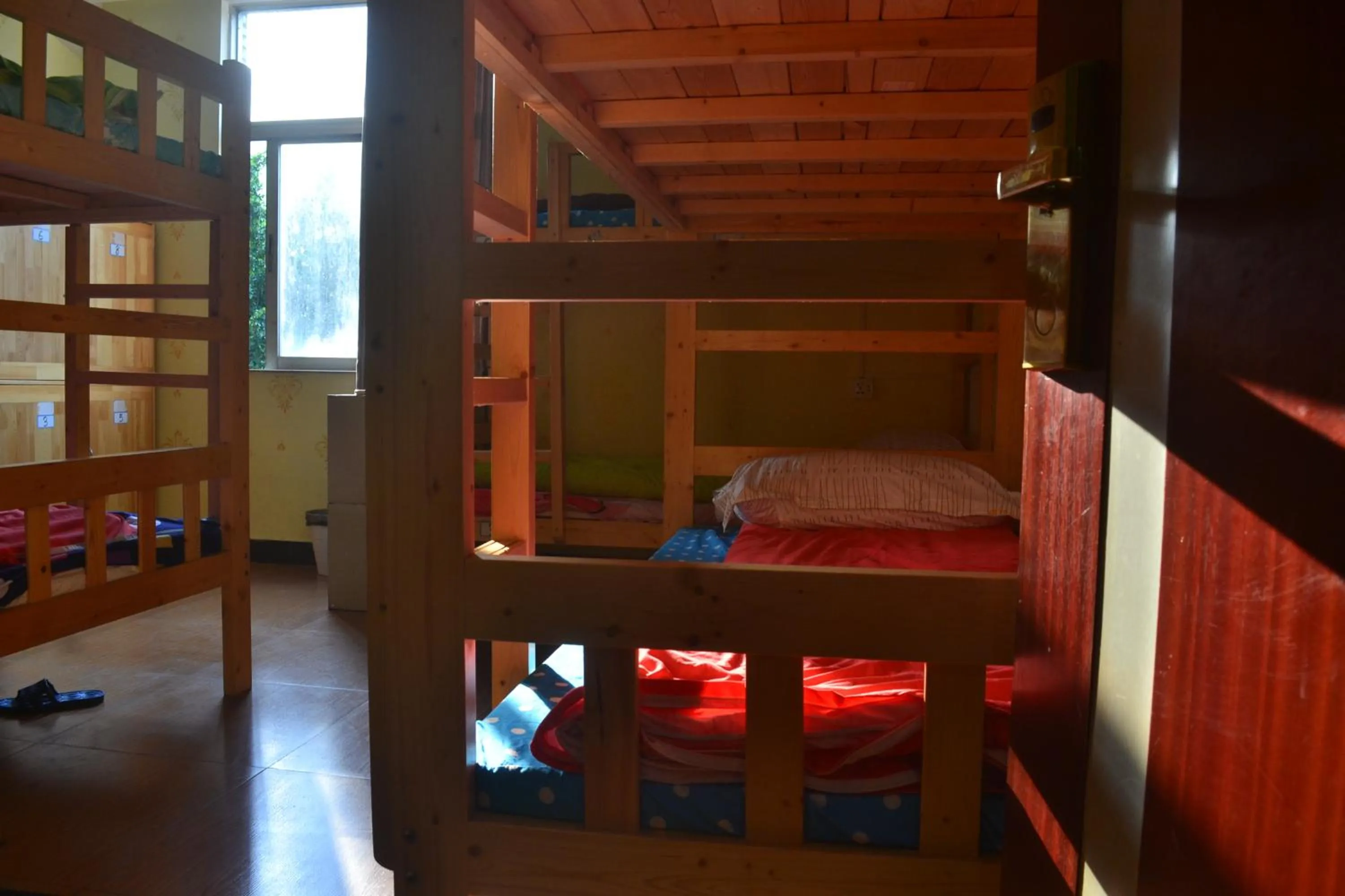 bunk bed, Bed in Notting Hill Hostel