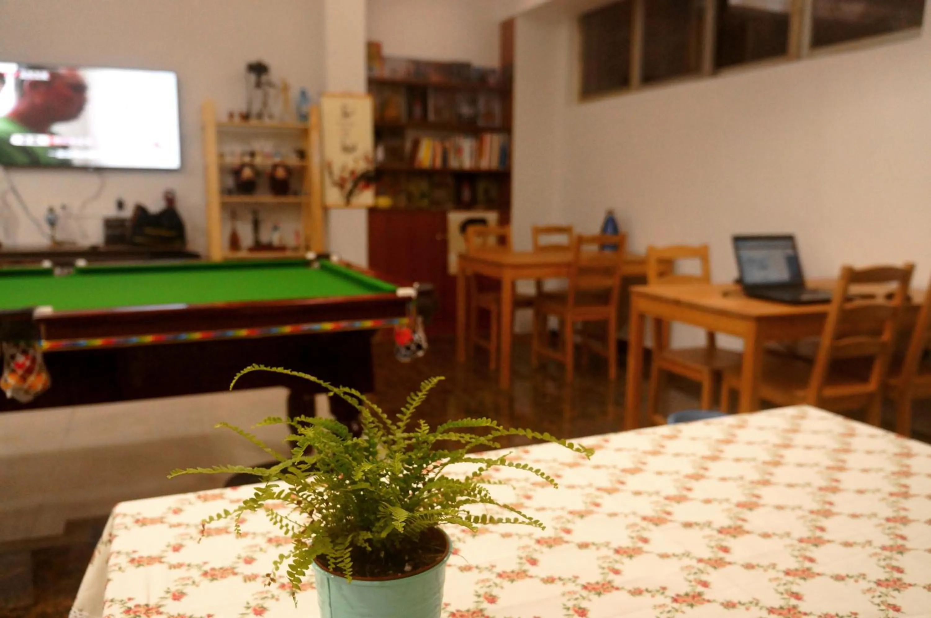 Library in Notting Hill Hostel