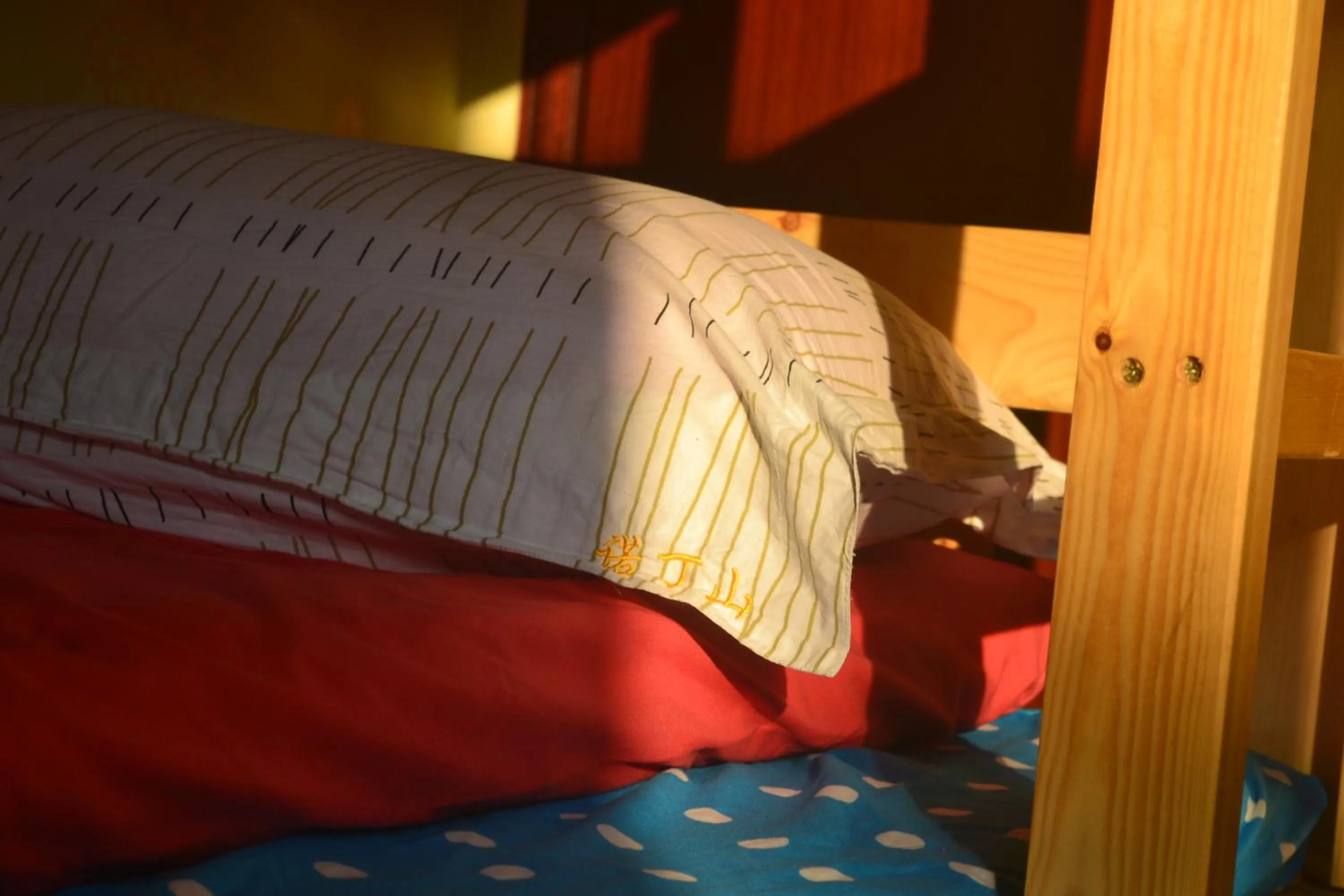 bunk bed, Bed in Notting Hill Hostel