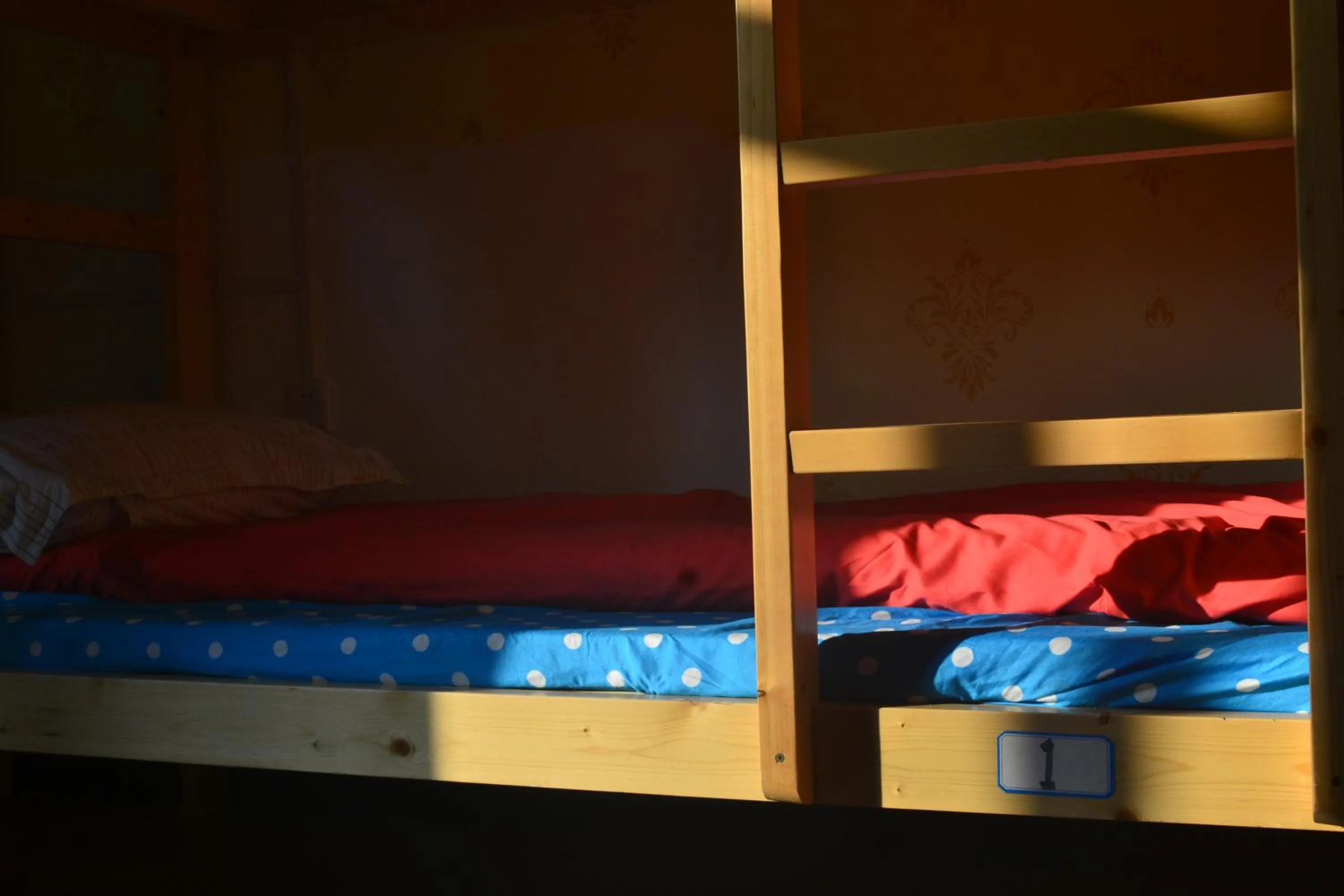 bunk bed, Bed in Notting Hill Hostel