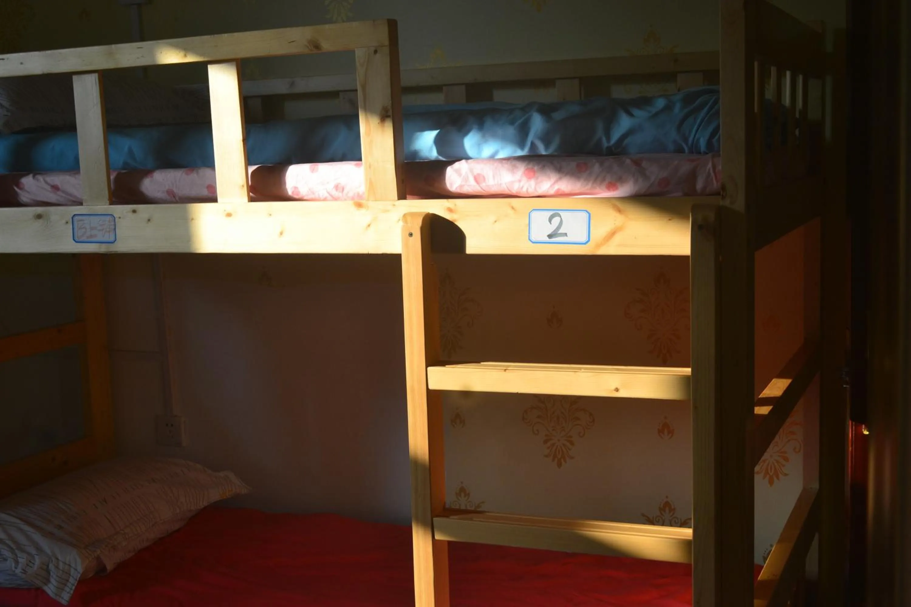 bunk bed, Bed in Notting Hill Hostel