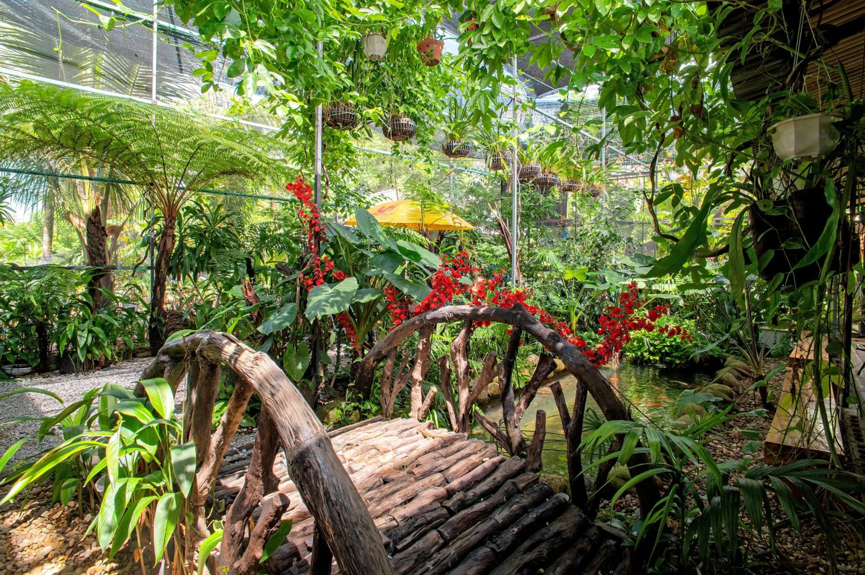 View (from property/room) in Memories Hoi An Villa