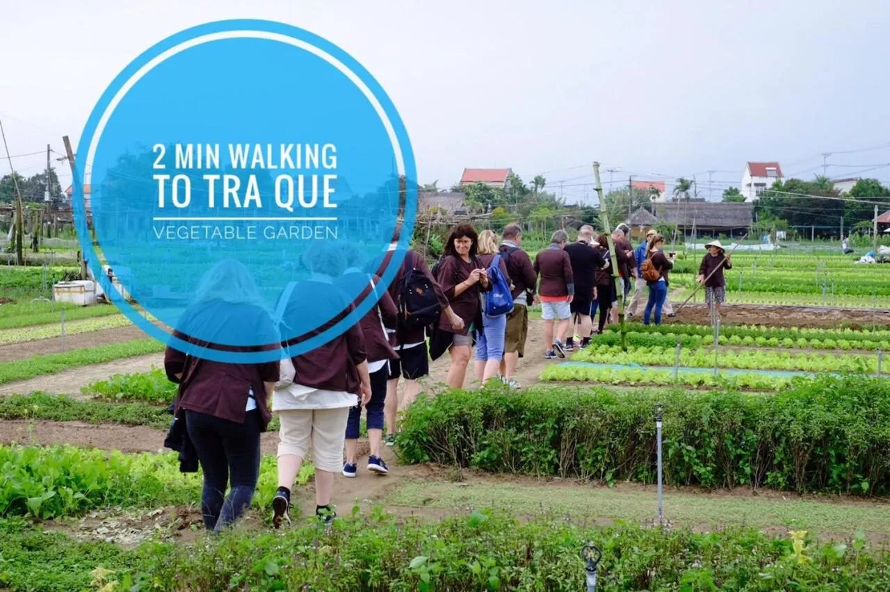 Activities in The Moon River Homestay & Villa